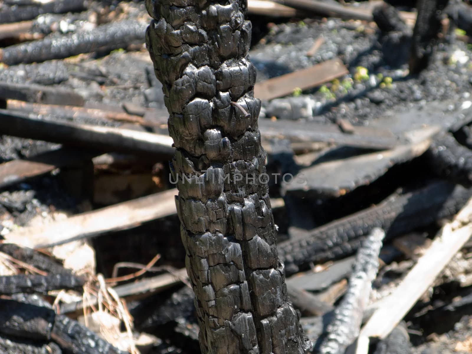 Ruined wood log house burnt by fire to black coal