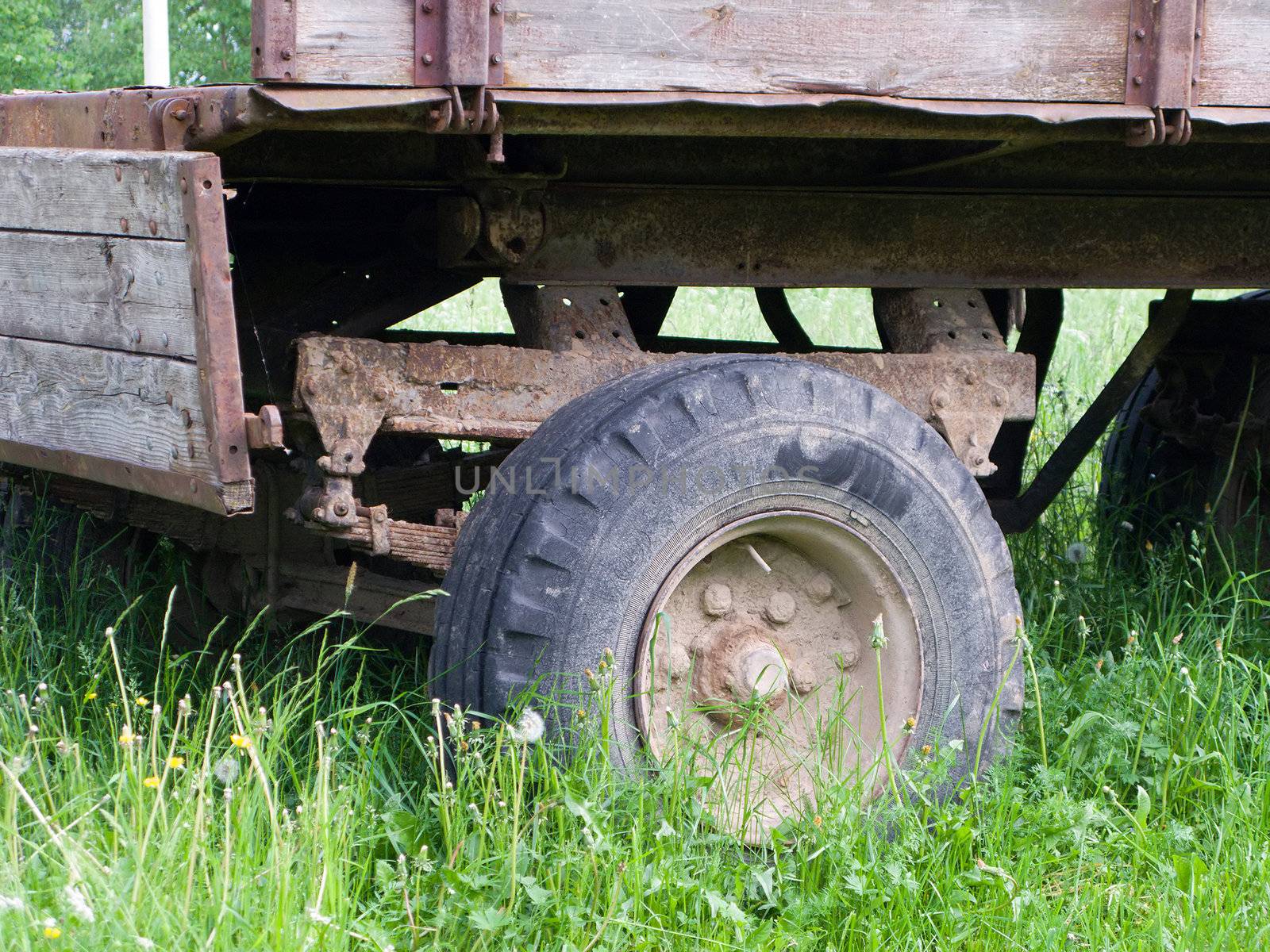 Cart vehicle wheel by ia_64