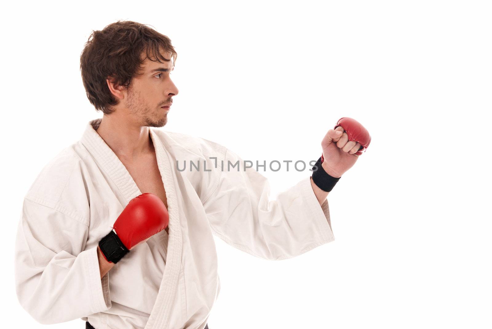 Karate male fighter young isolated on white background by dgmata