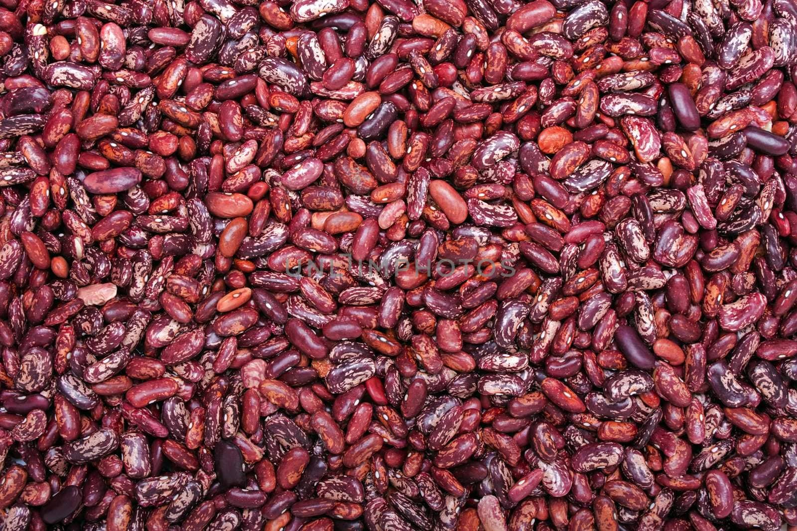 Healthy eating red raw legume bean food background
