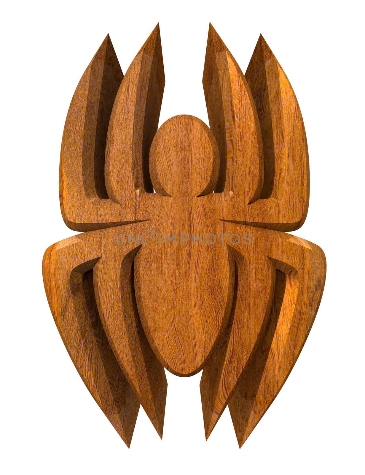 spider in wood - 3d made