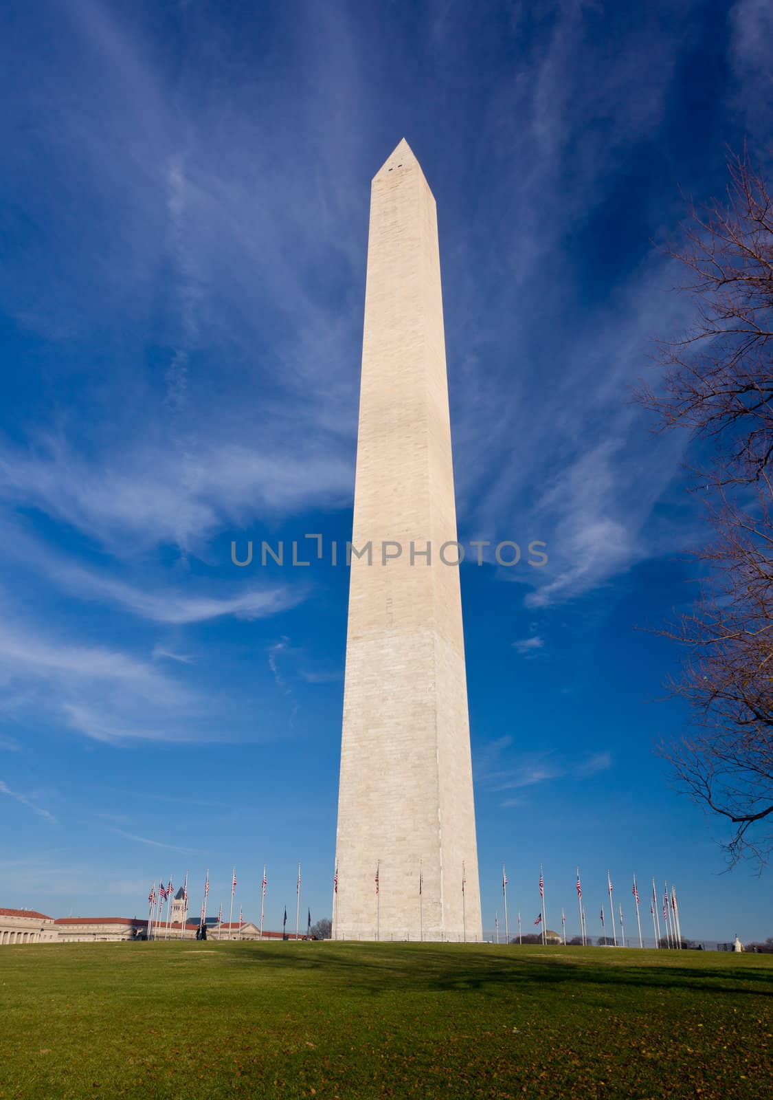 Washington Monument in DC on a clear winter day