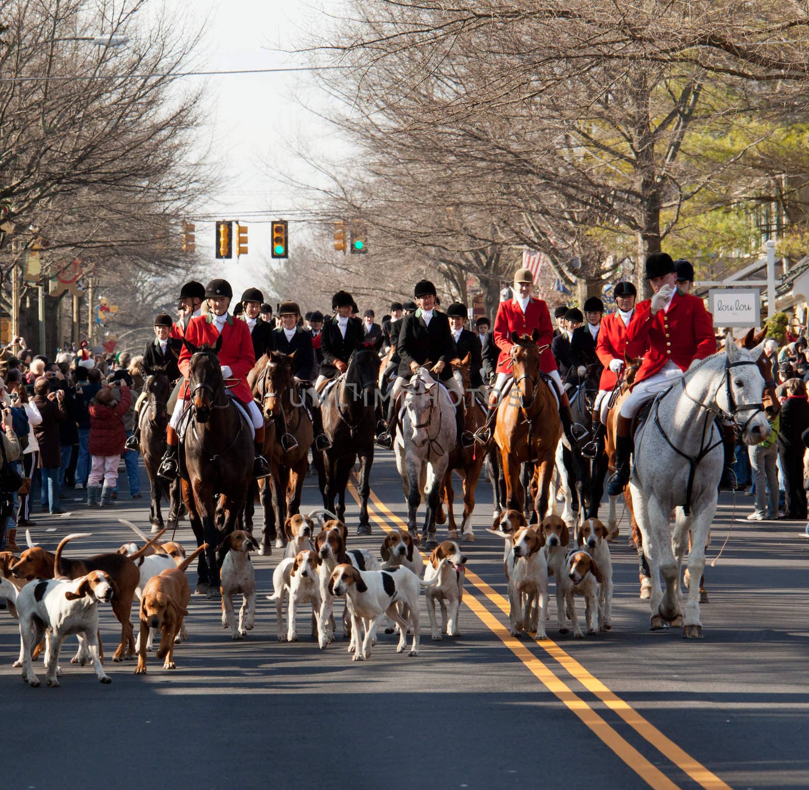 MIDDLEBURG, VA - DECEMBER 3: The Middleburg Hunt in traditional December parade down main street of Middleburg, Virginia on December 3, 2011
