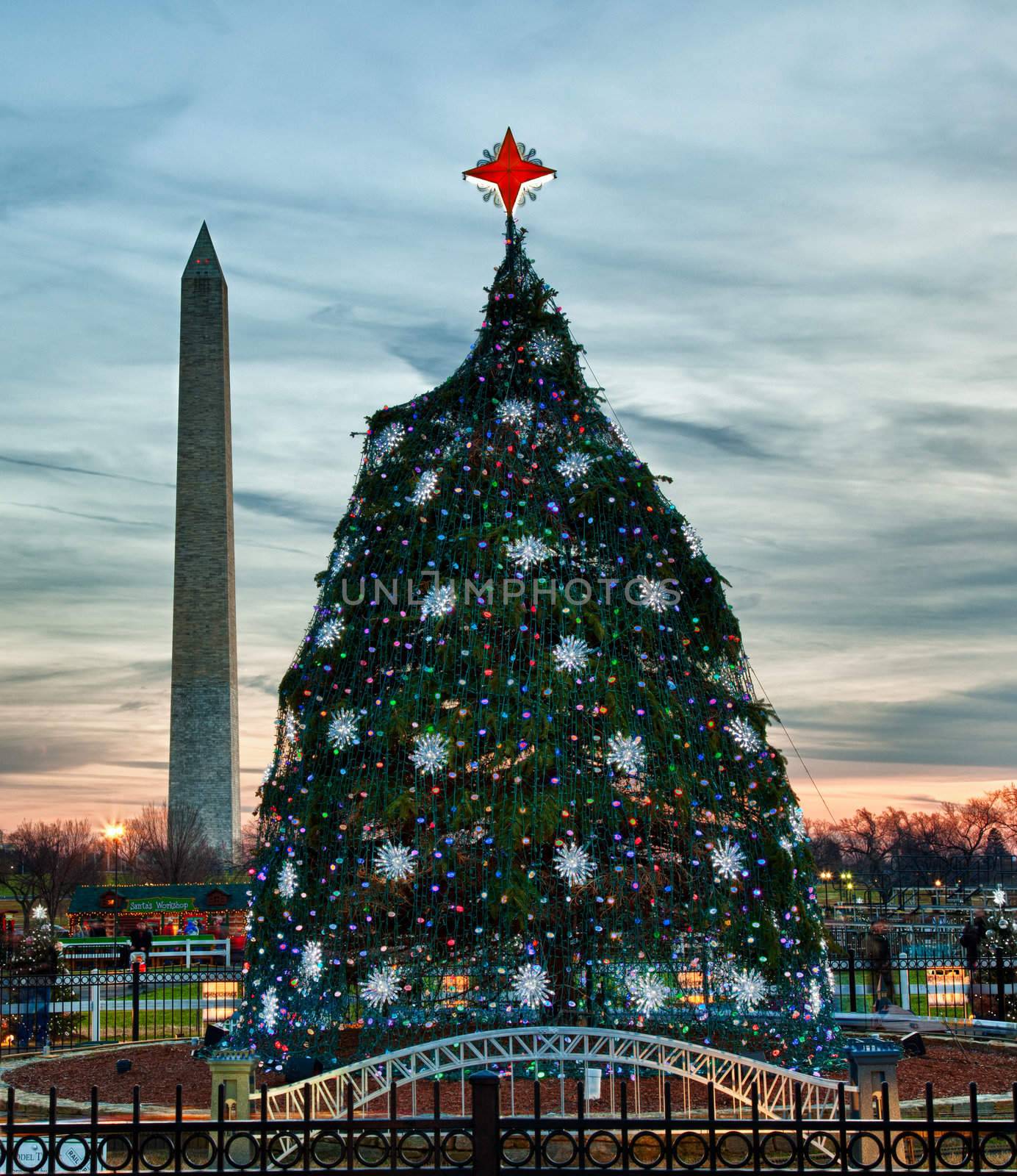 Washington DC national christmas tree with monument in the distance