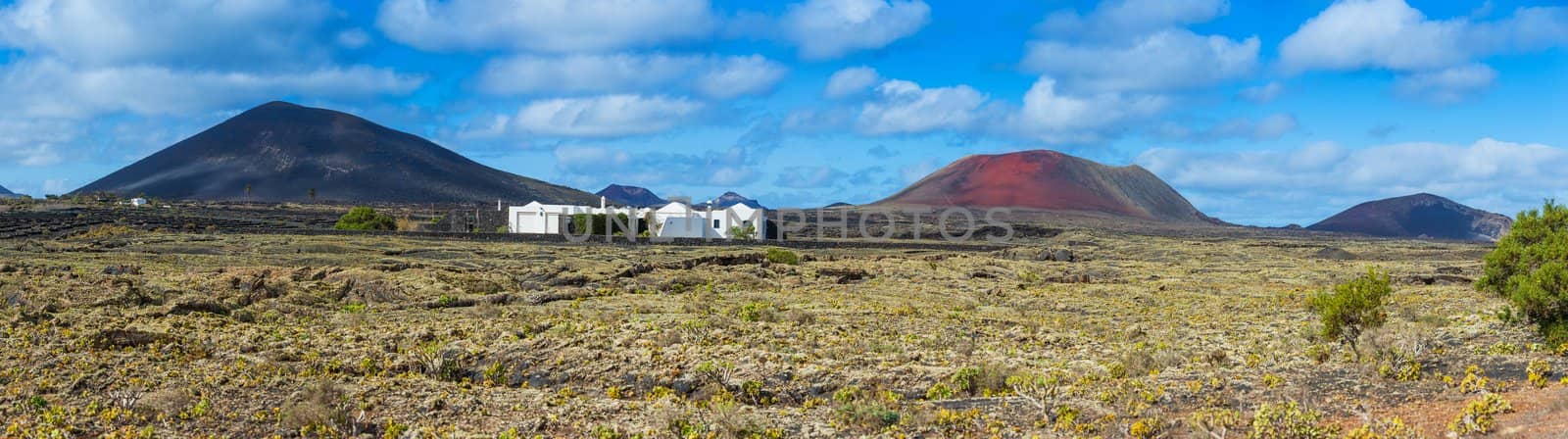 Panorama of a typical cottage, built on the lava of the volcano. Lanzarote, Canary Islands