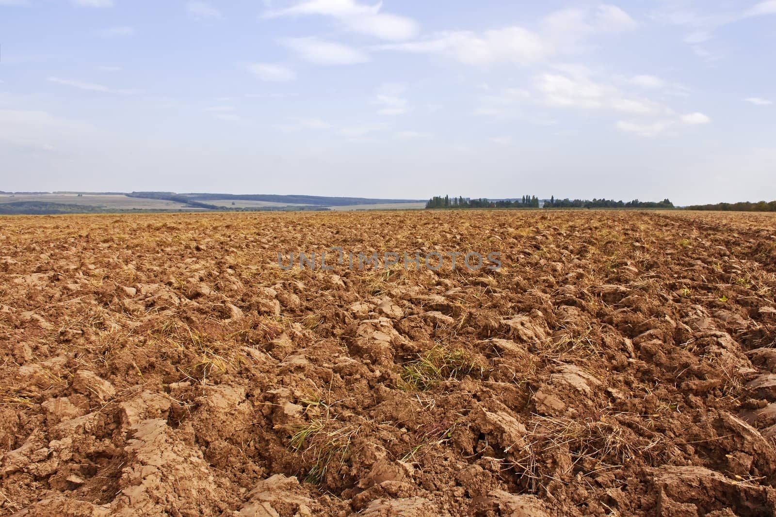 Plow. Arable land, prepared in the autumn following harvest