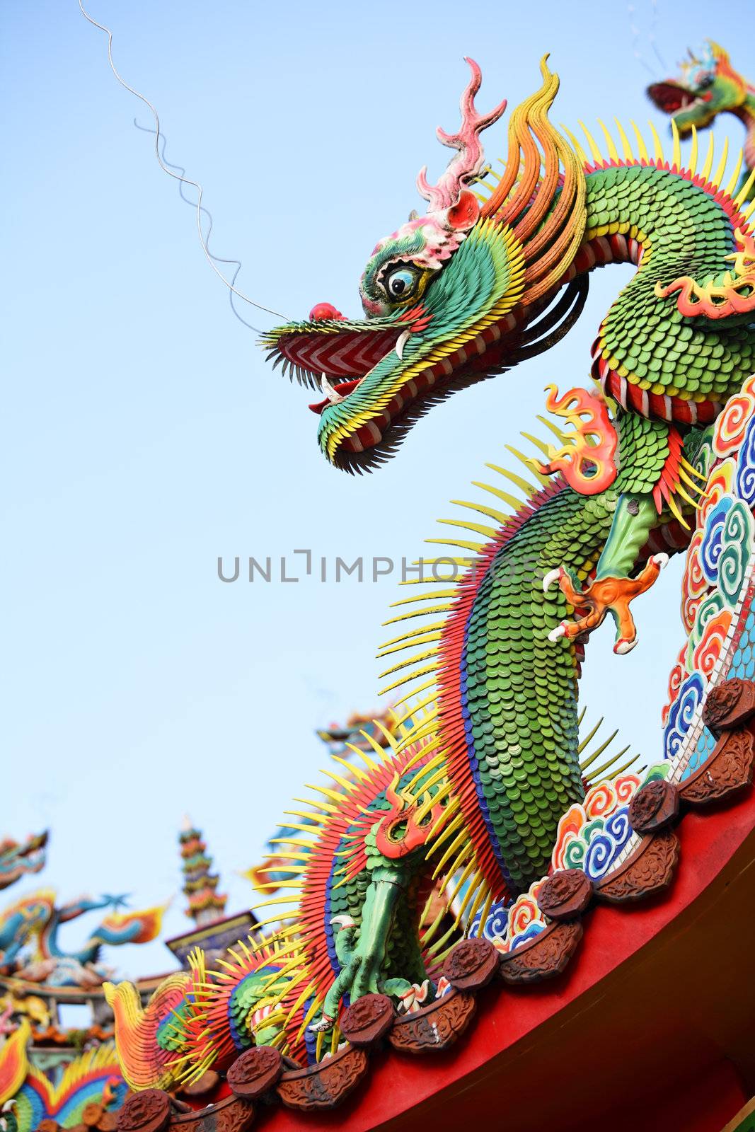 Asian temple dragon