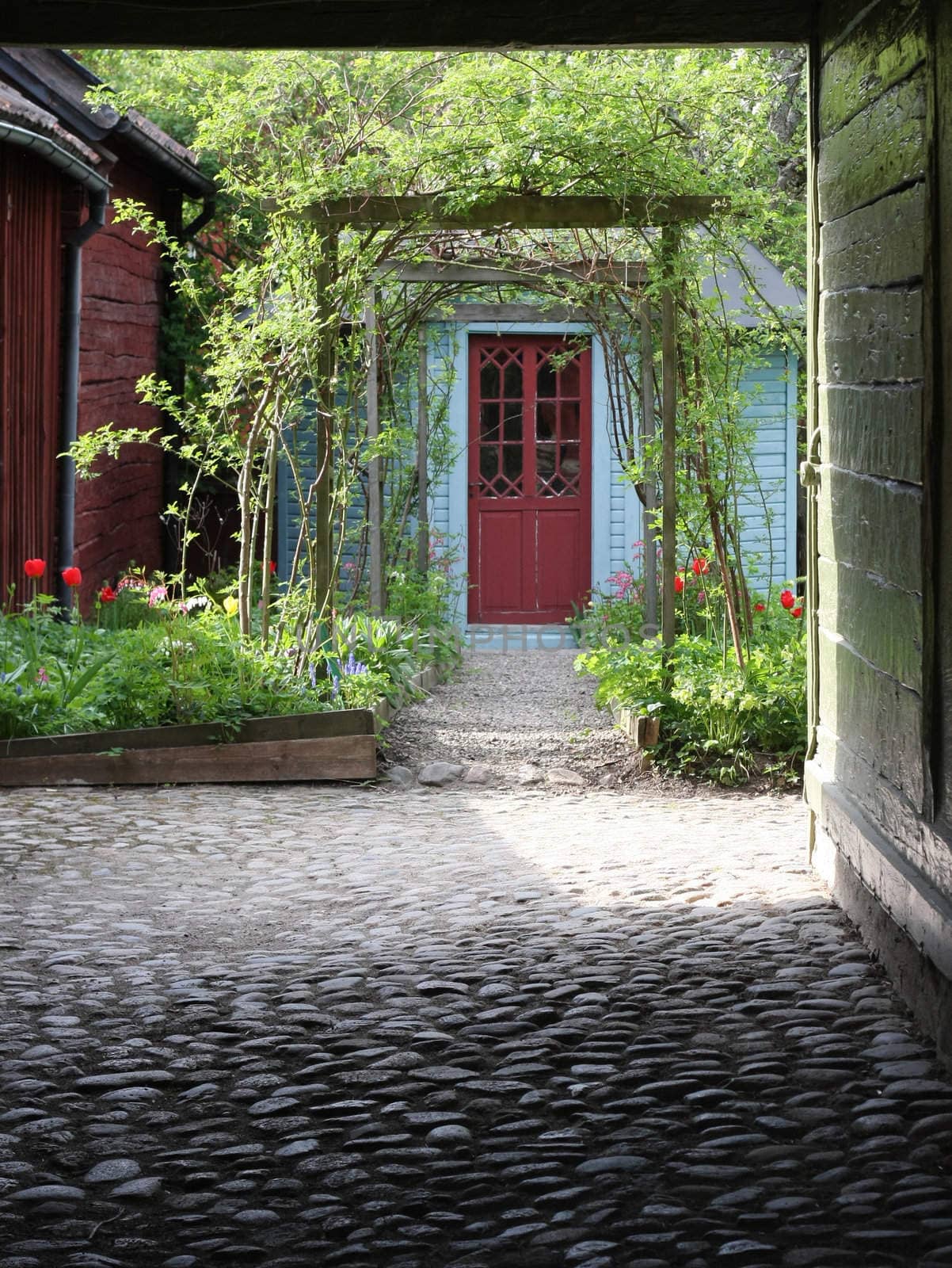 Lush yard front. Green living.