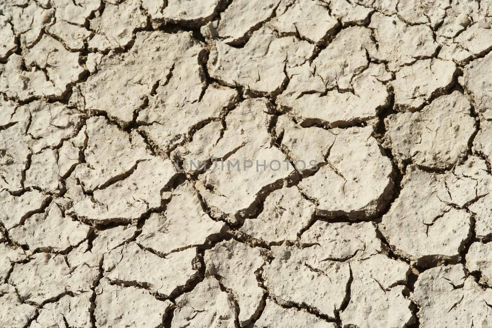 Dry Mud Cracks by Alvinge