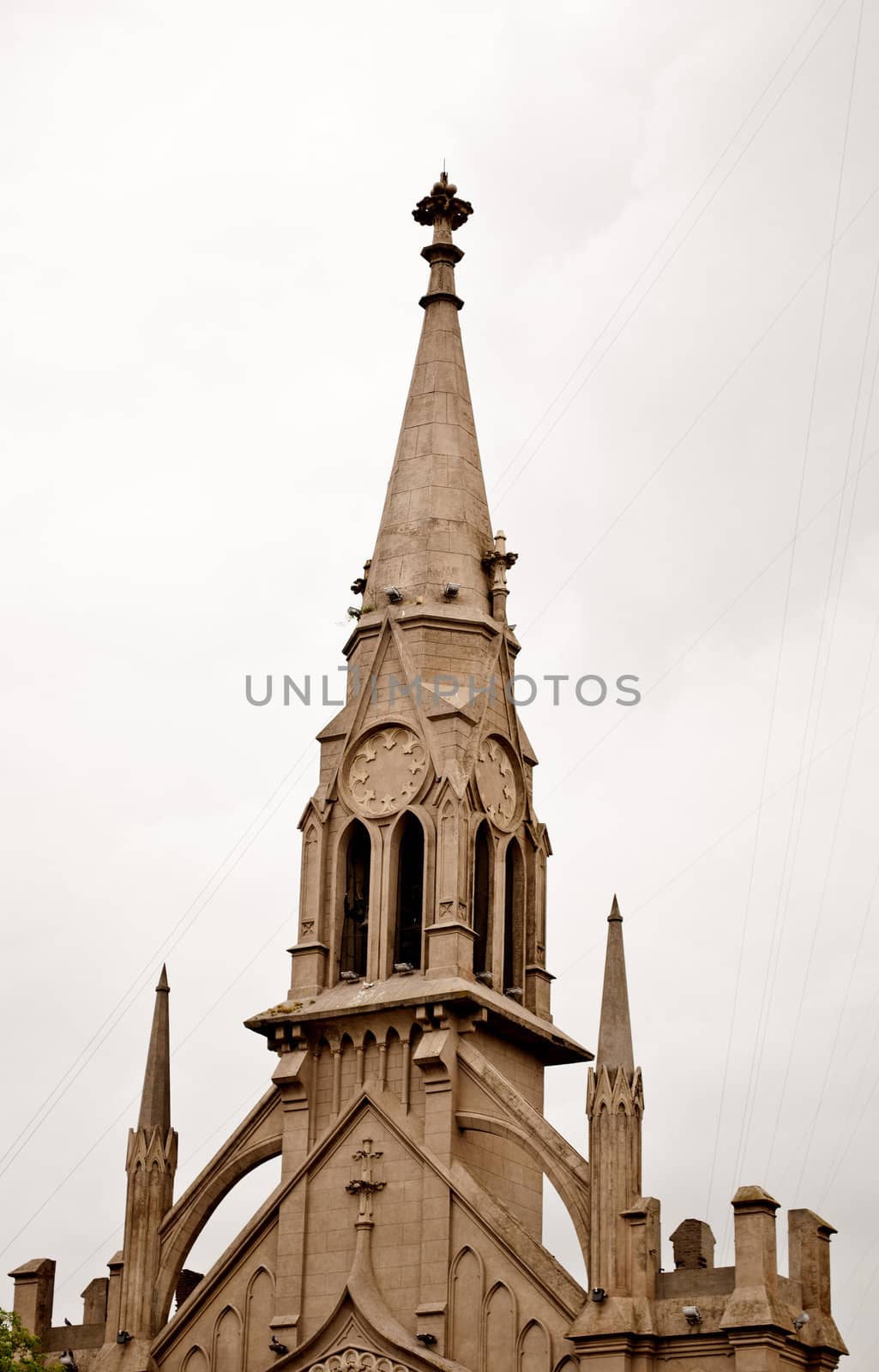 Catedral by lauria