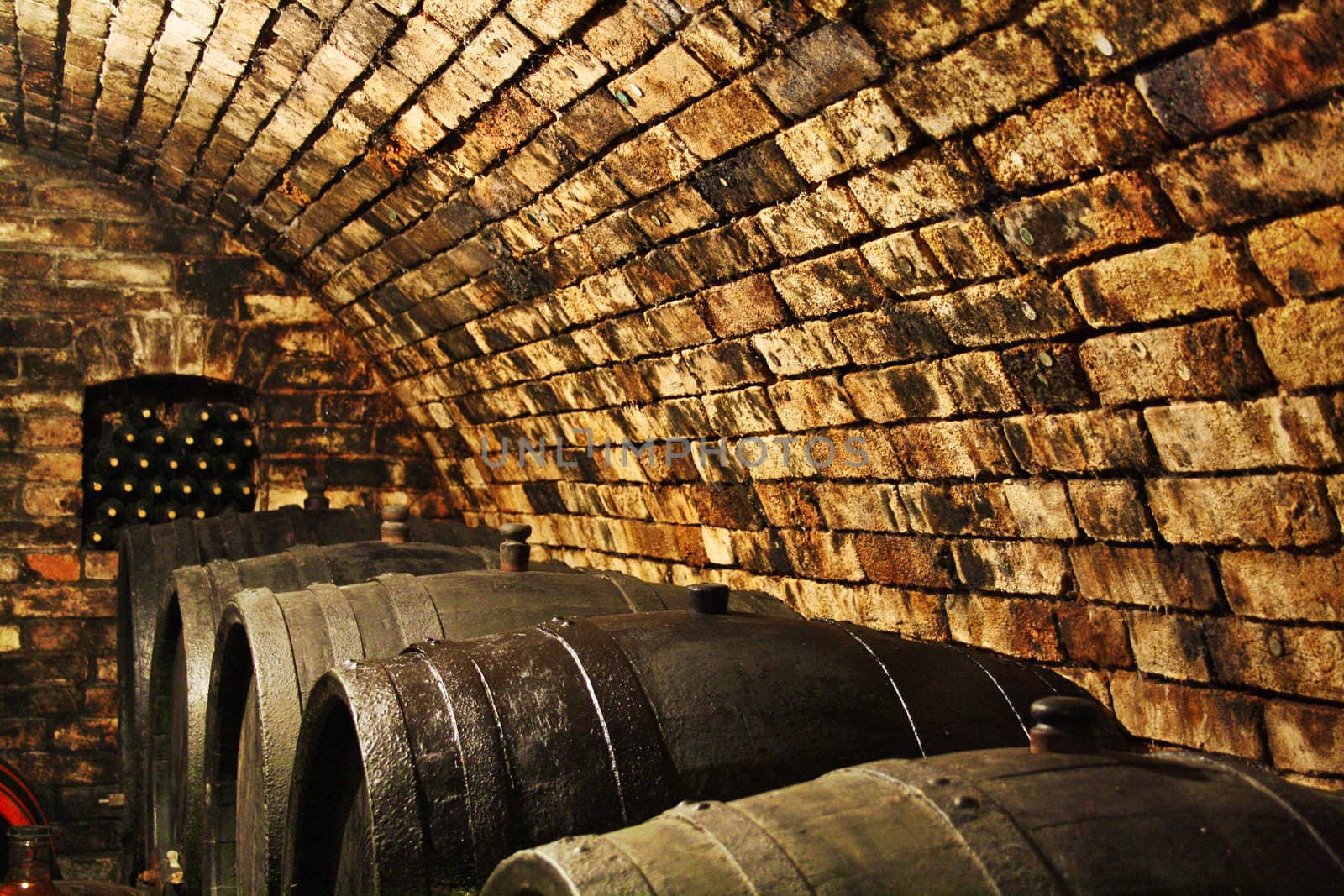 Classic Wine Cellar in Family Winery with Barrels full of Wine