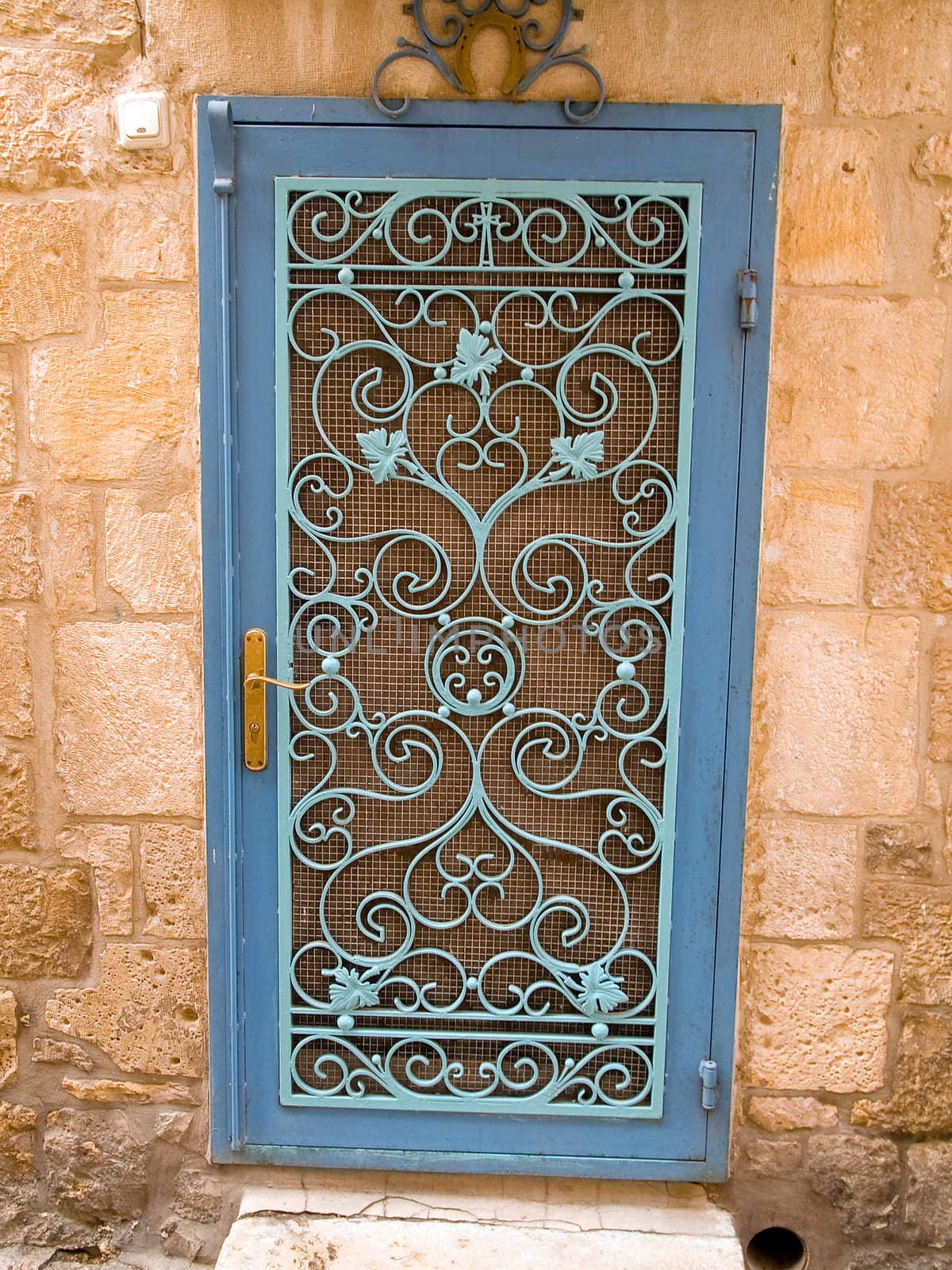 Ornamented decorative iron door by Ronyzmbow