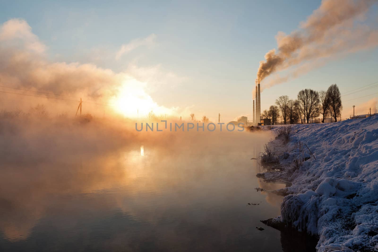 Image of a quiet countryside plant in winter morning