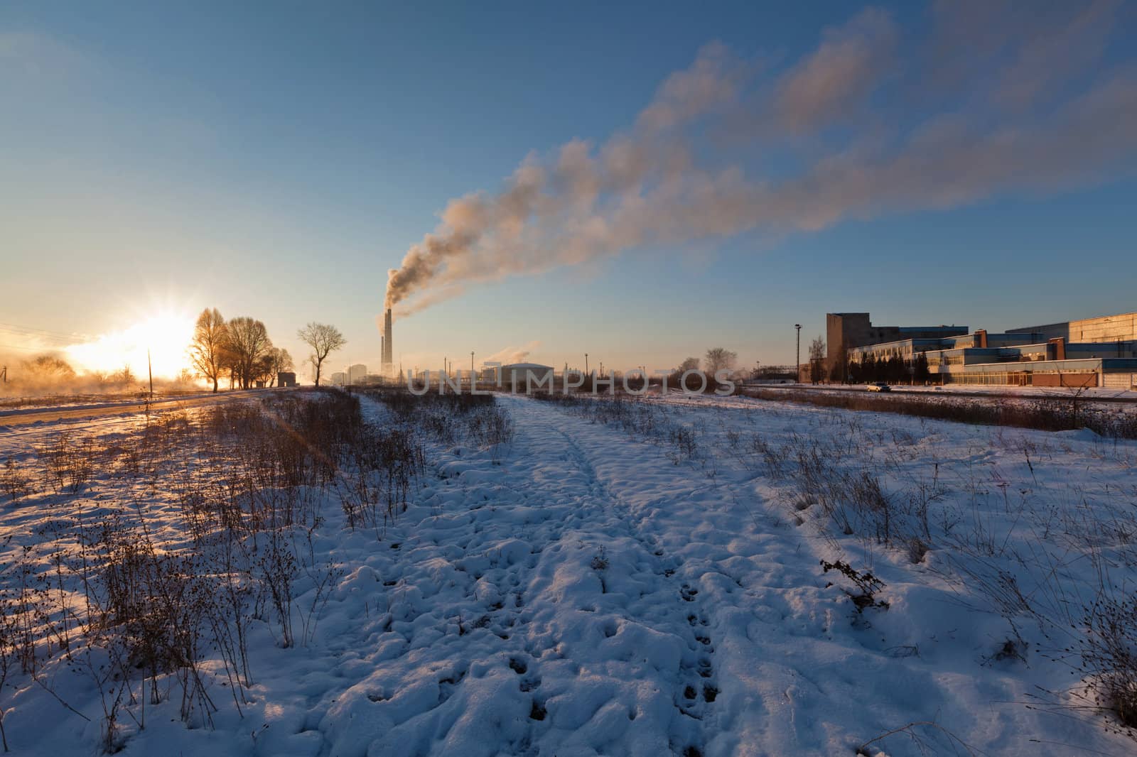 Image of a quiet countryside plant in winter morning