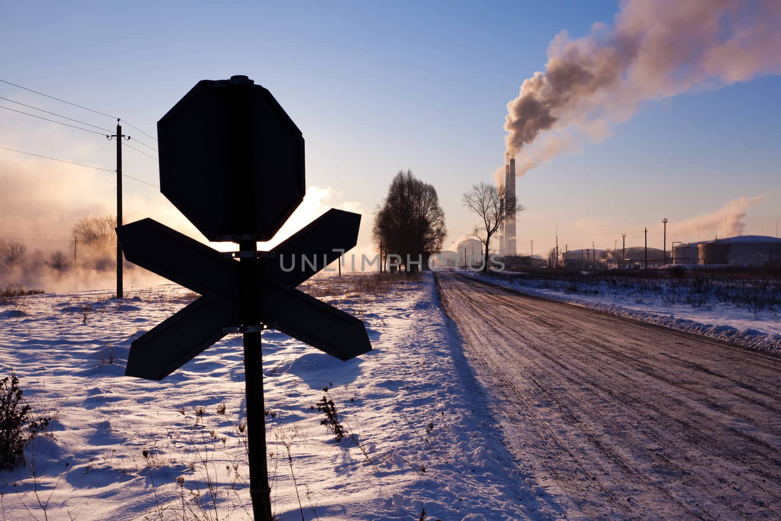 Image of a quiet countryside plant in winter morning