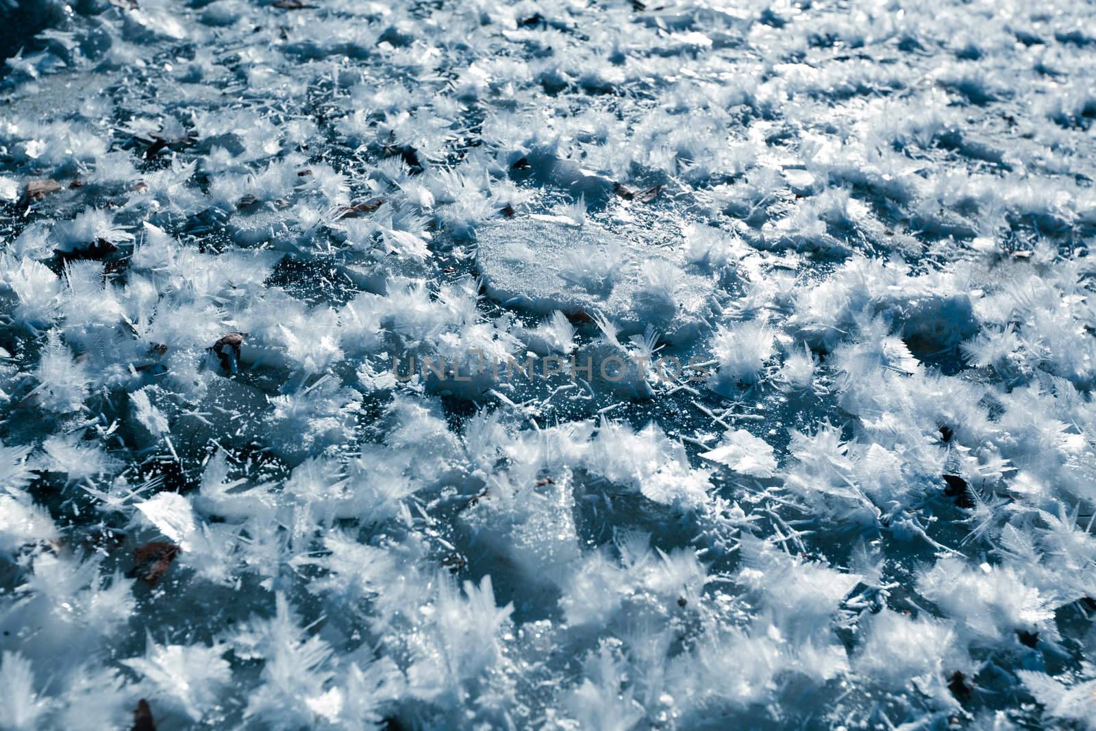 Beautiful closeup of big icy snowflakes on frosted stream
