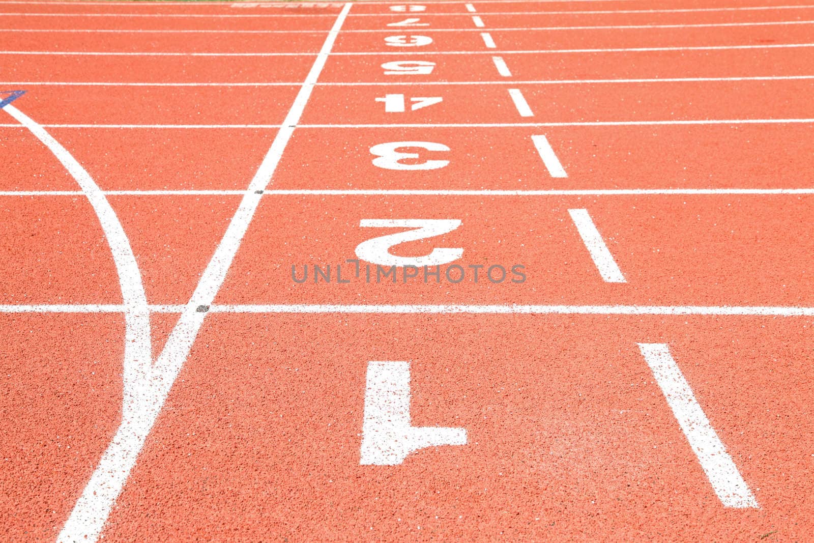 starting grid line perspective