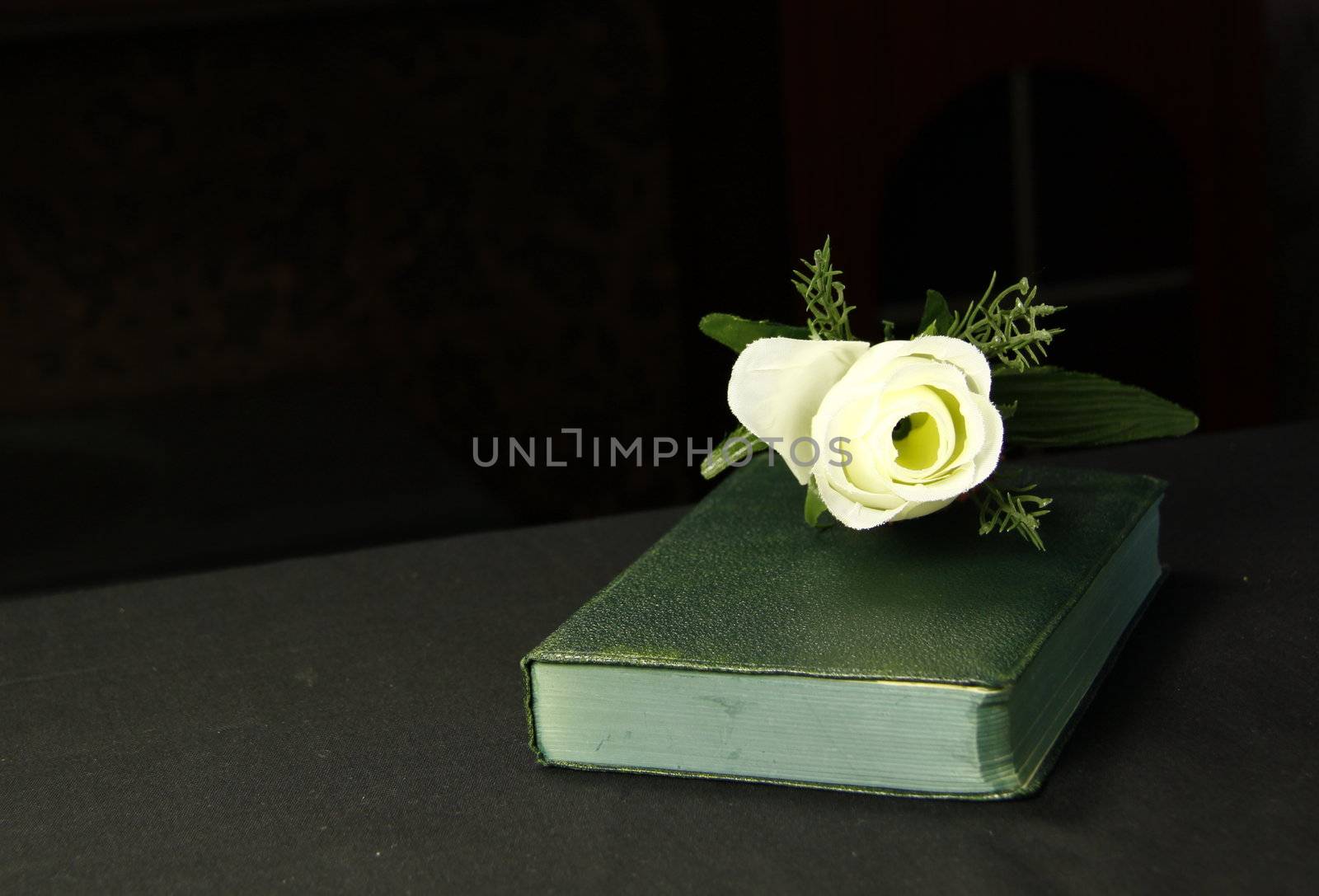 a rose next to a book depicting it could be a romantic novel
