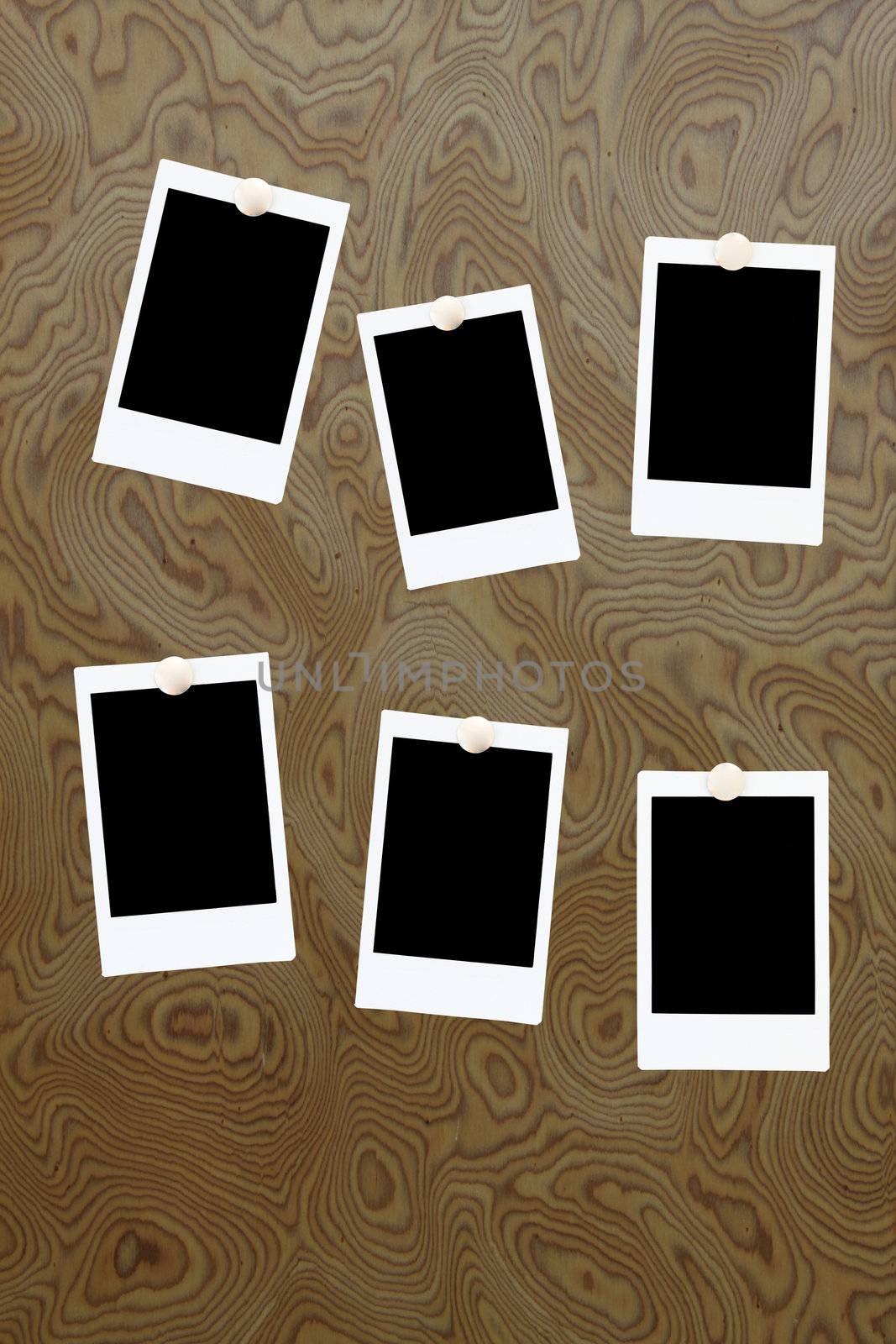 six blank polaroids frames on a wood background