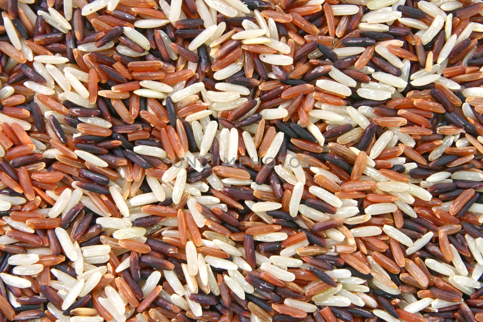Thai Whit-Red Jasmine and Fragment magenta rice, Trois Amis Organic, Background texture surface pattern.