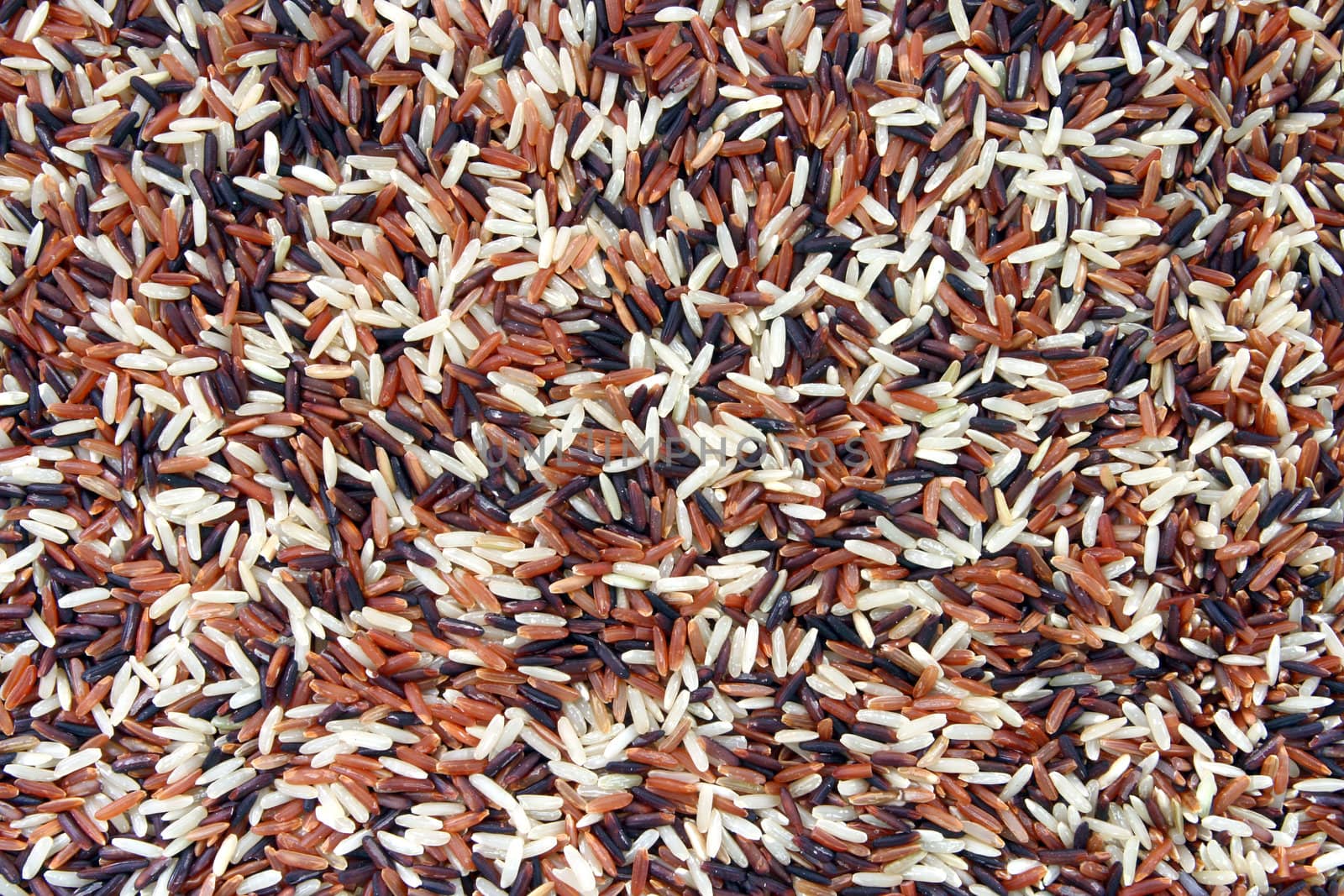 Thai White Red Jasmine and Fragment magenta rice, Trois Amis Organic, Background texture surface pattern