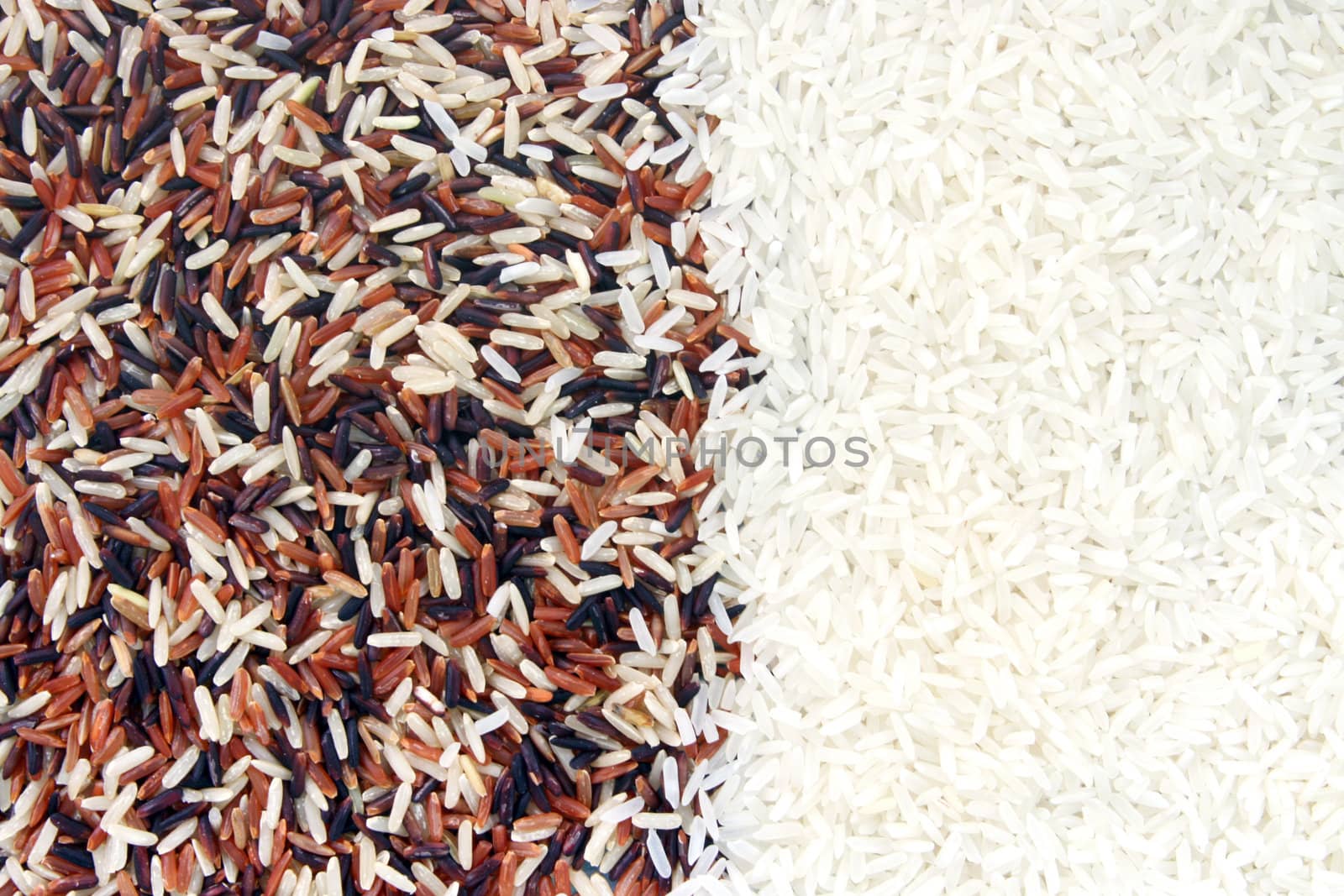 Thai Red Jasmine and Fragment magenta Organic rice half with White Jasmine rice, Background texture surface pattern