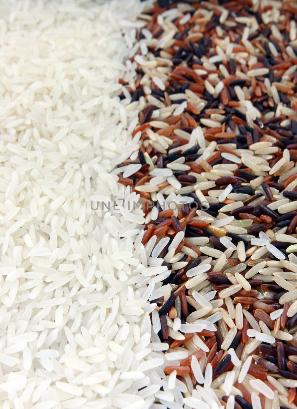 Thai Red Jasmine and Fragment magenta Organic rice half with White Jasmine rice, Background texture surface pattern