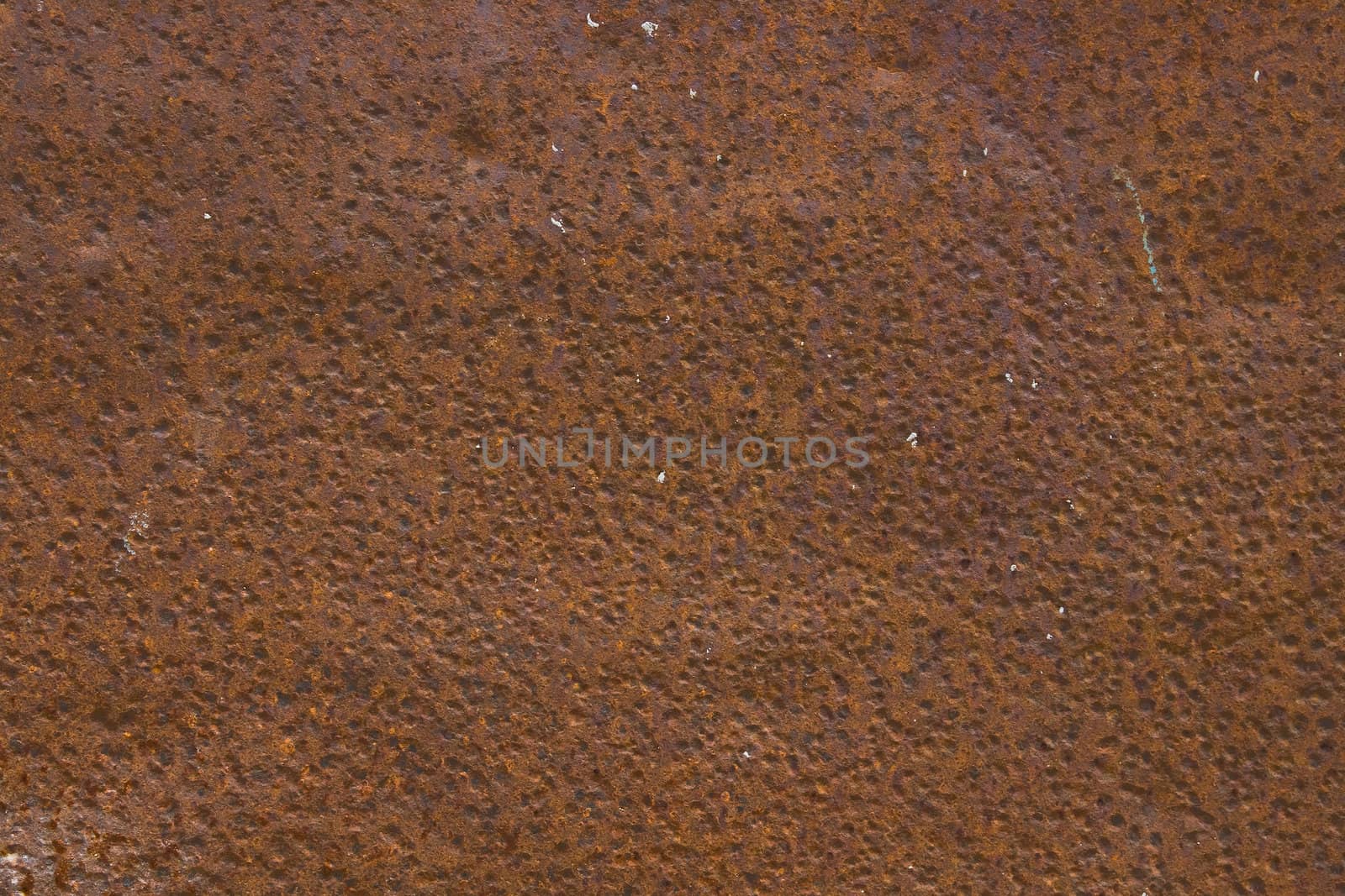 Rusty Metal Plate Pattern