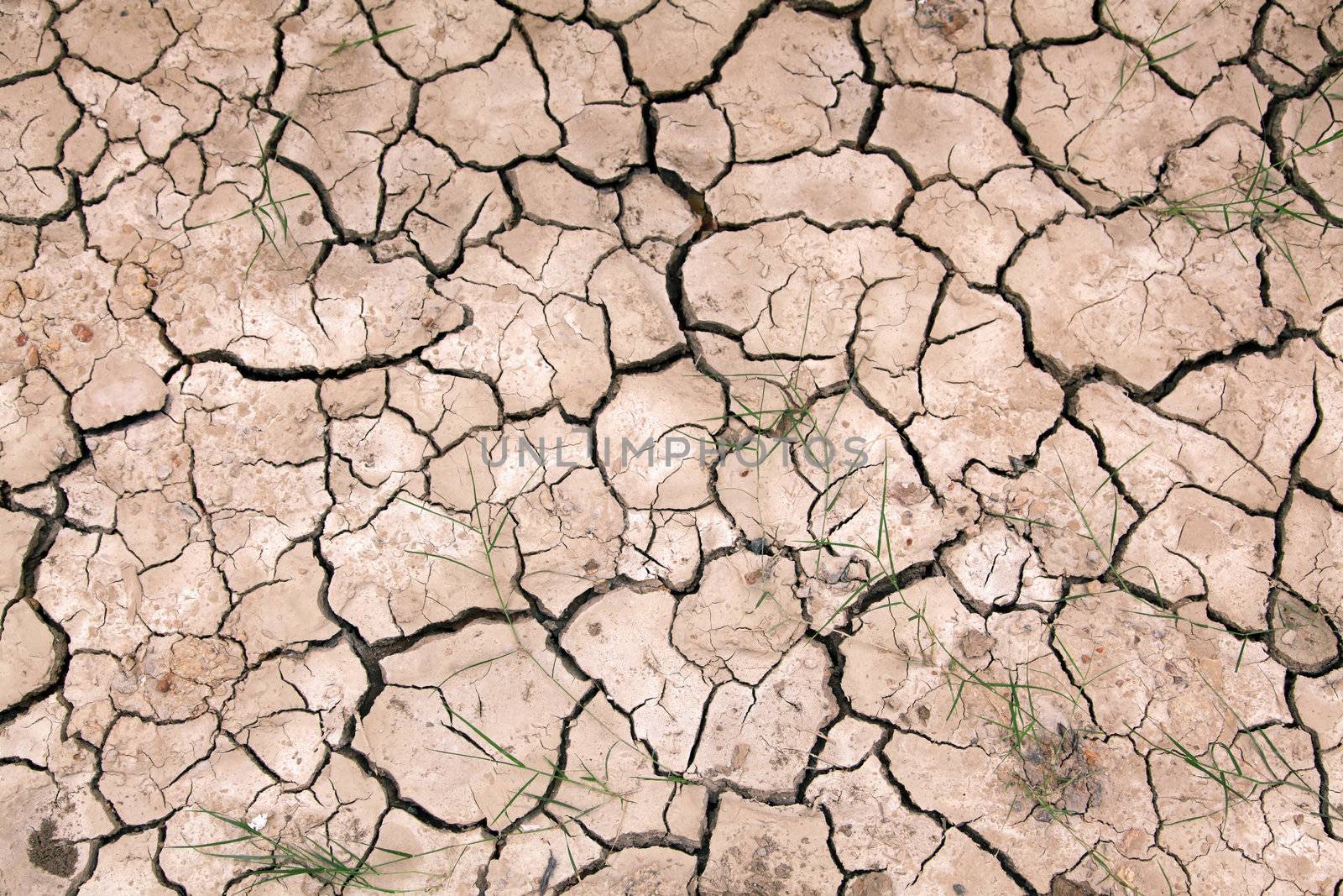 Dry cracked ground filling the frame as background
