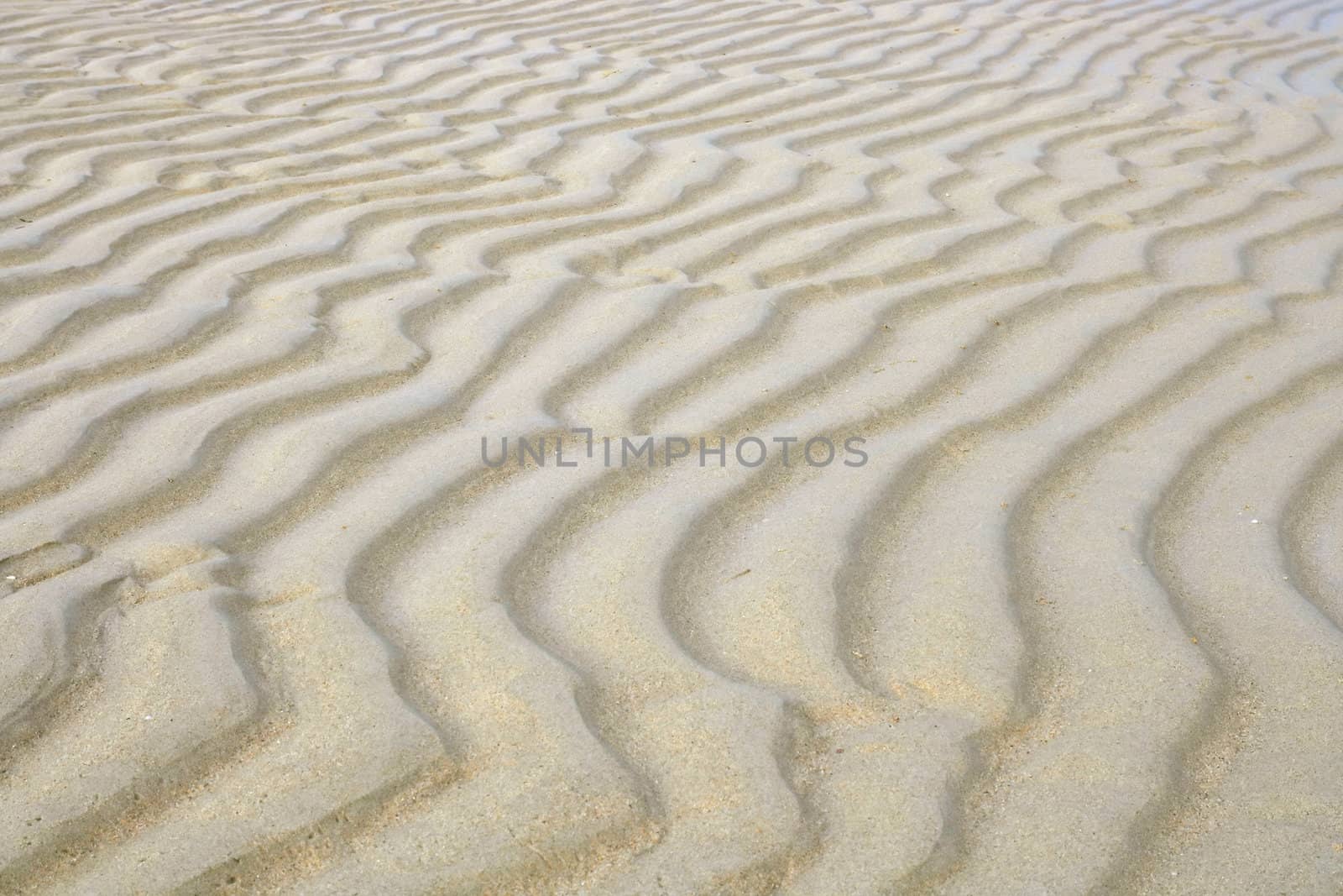 Pattern of sand beach ripple background