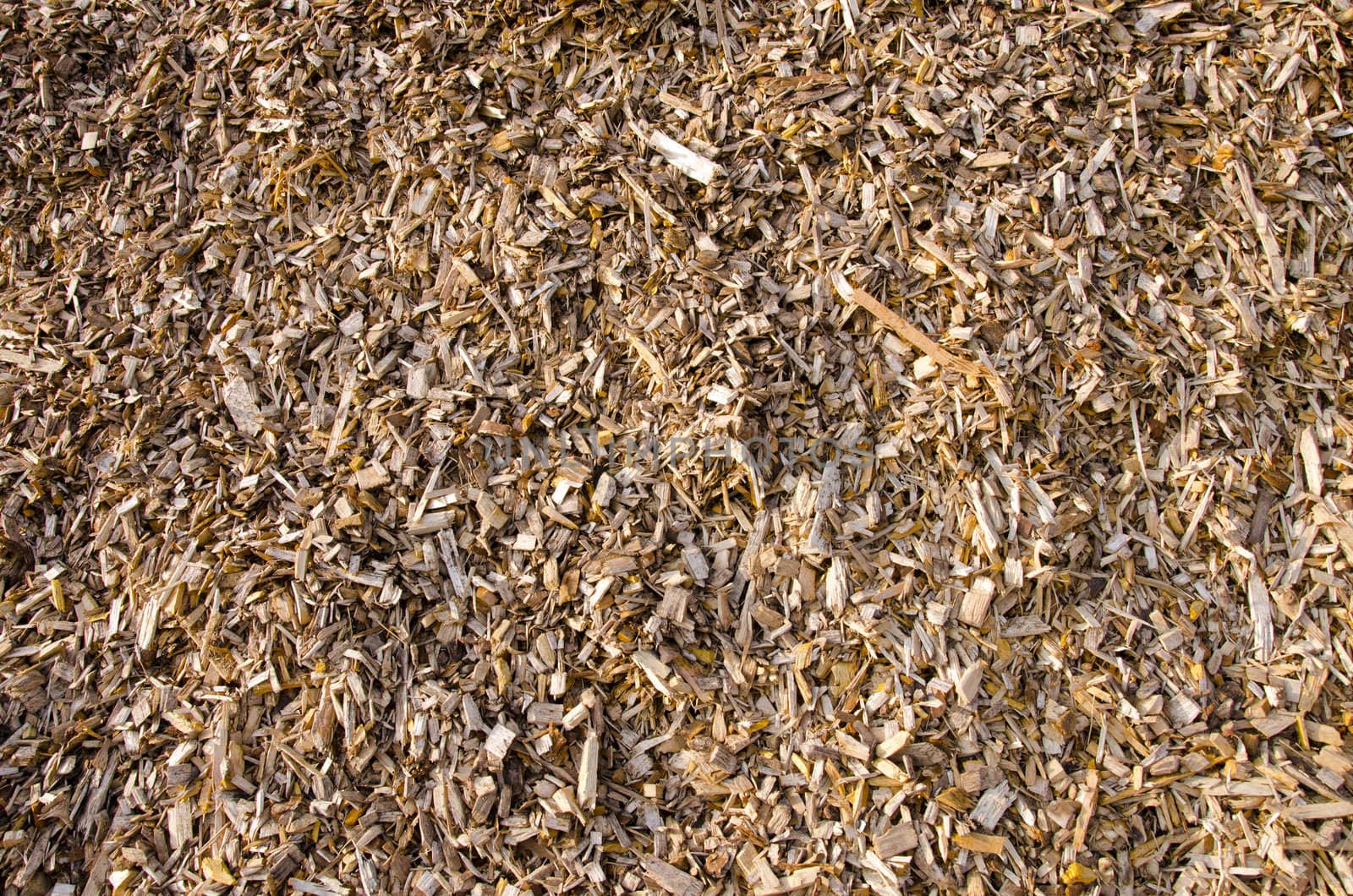 Background of wood shavings. Natural biomass fuels.