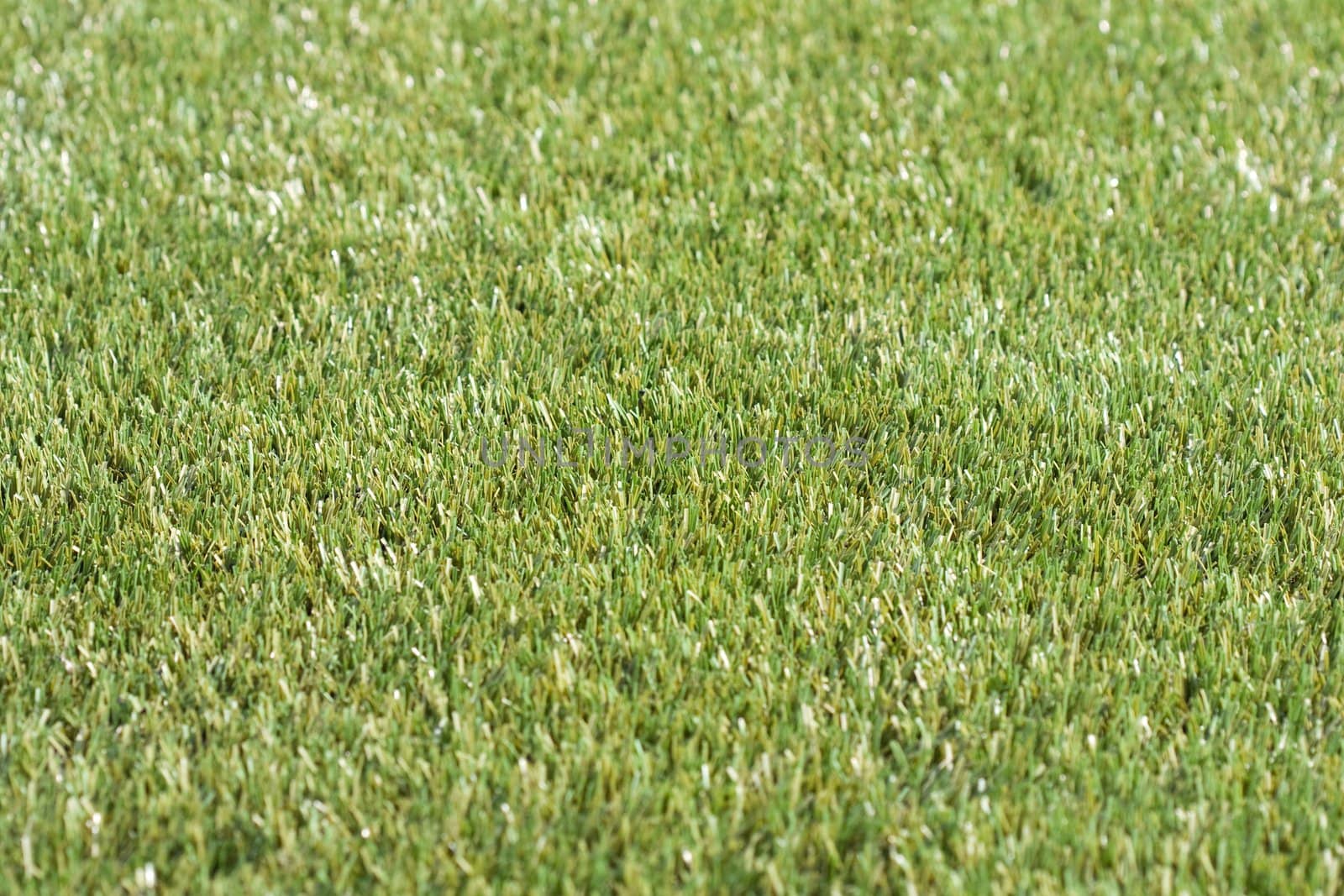 Playing soccer sport green grass field background