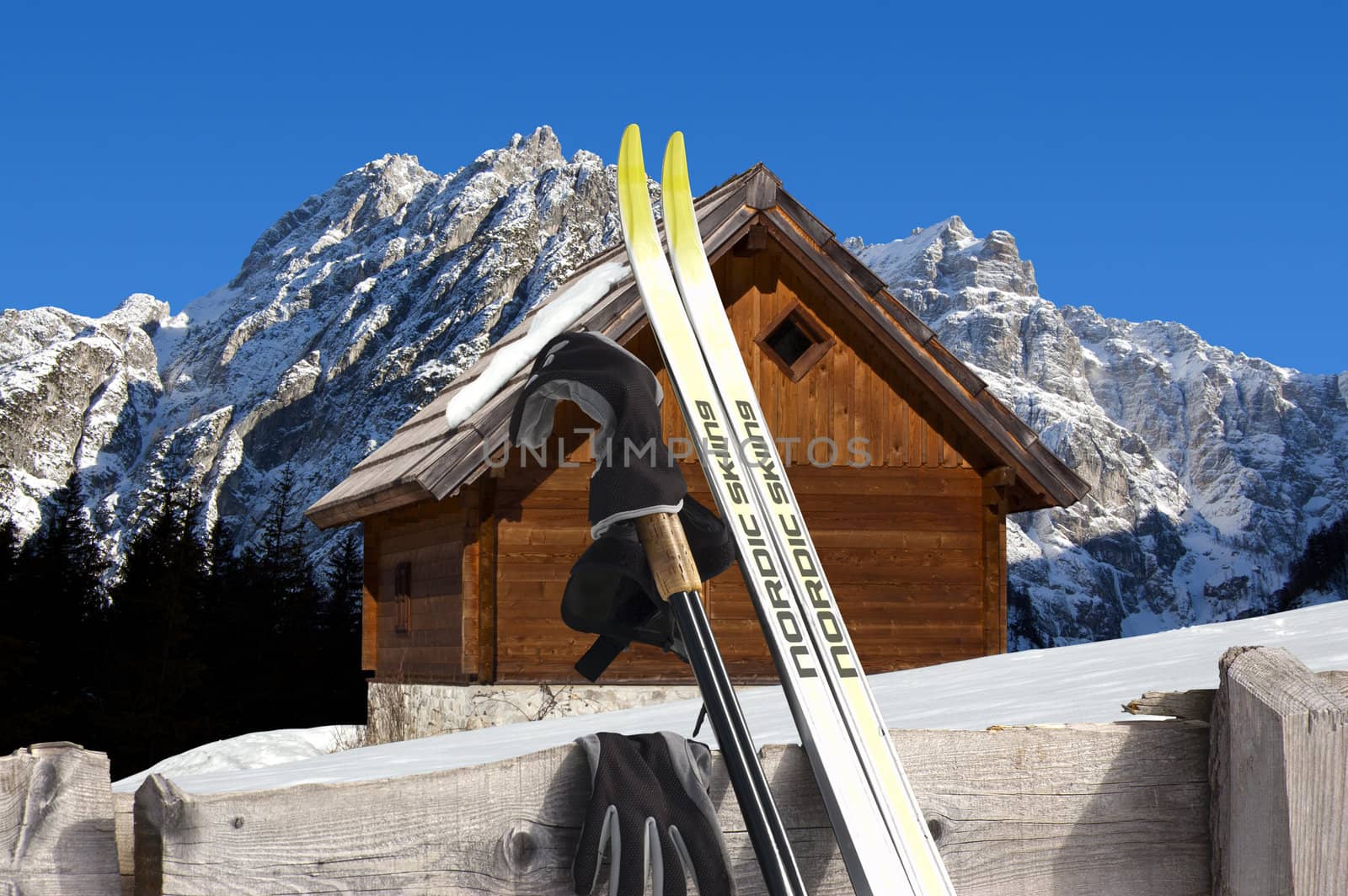 Nordic Skiing in the foreground and Wooden chalet in winter - Alps Italy