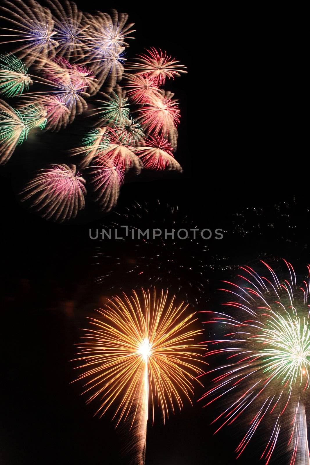 Japanese traditional fireworks in the night sky 