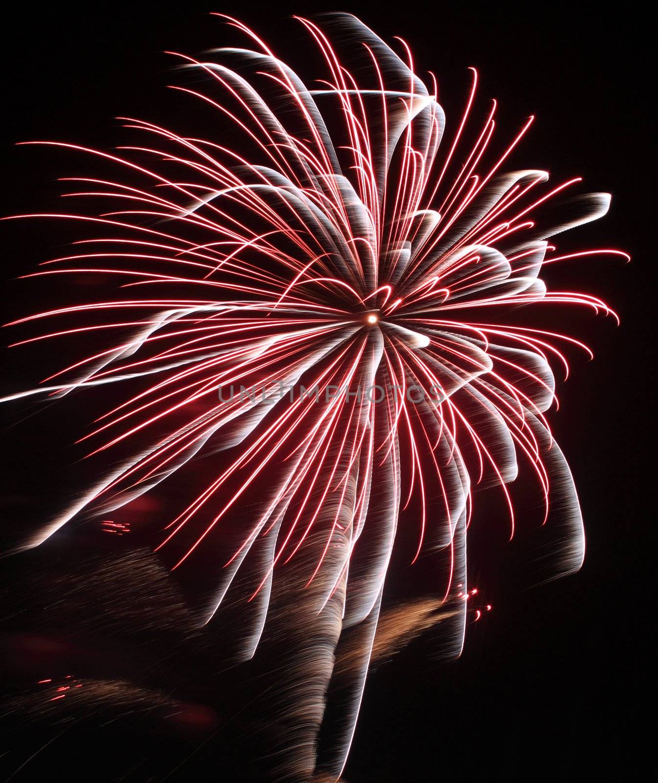 Japanese traditional fireworks in the night sky 