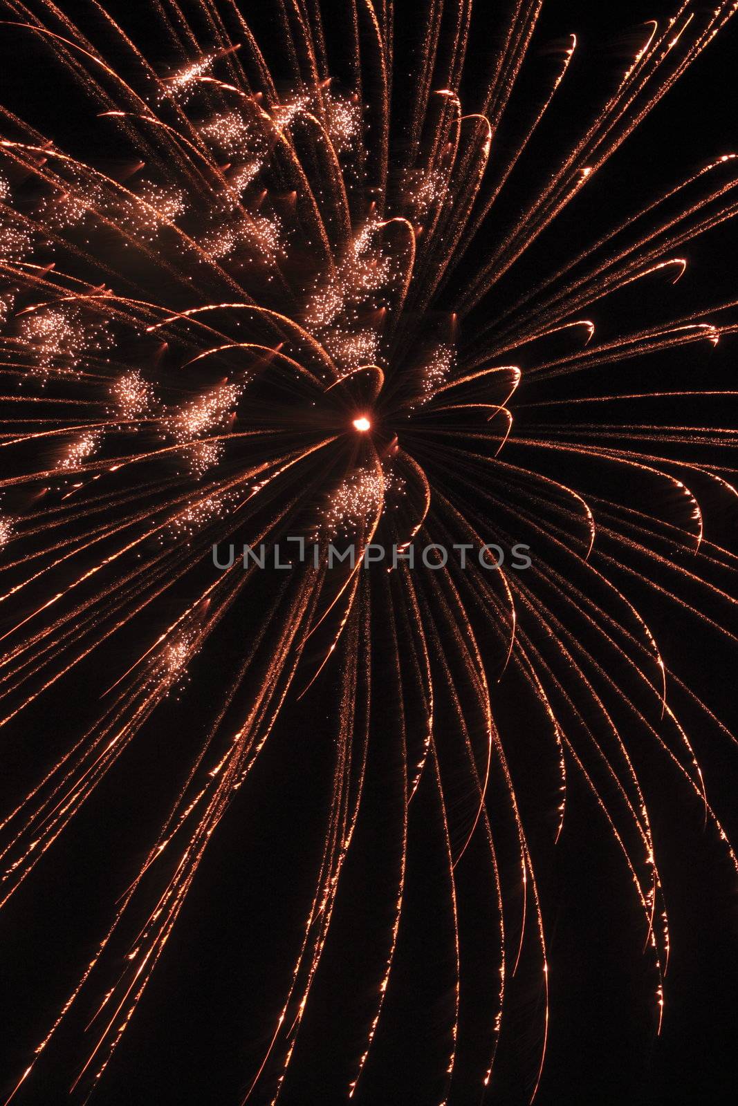 Japanese traditional fireworks in the night sky 