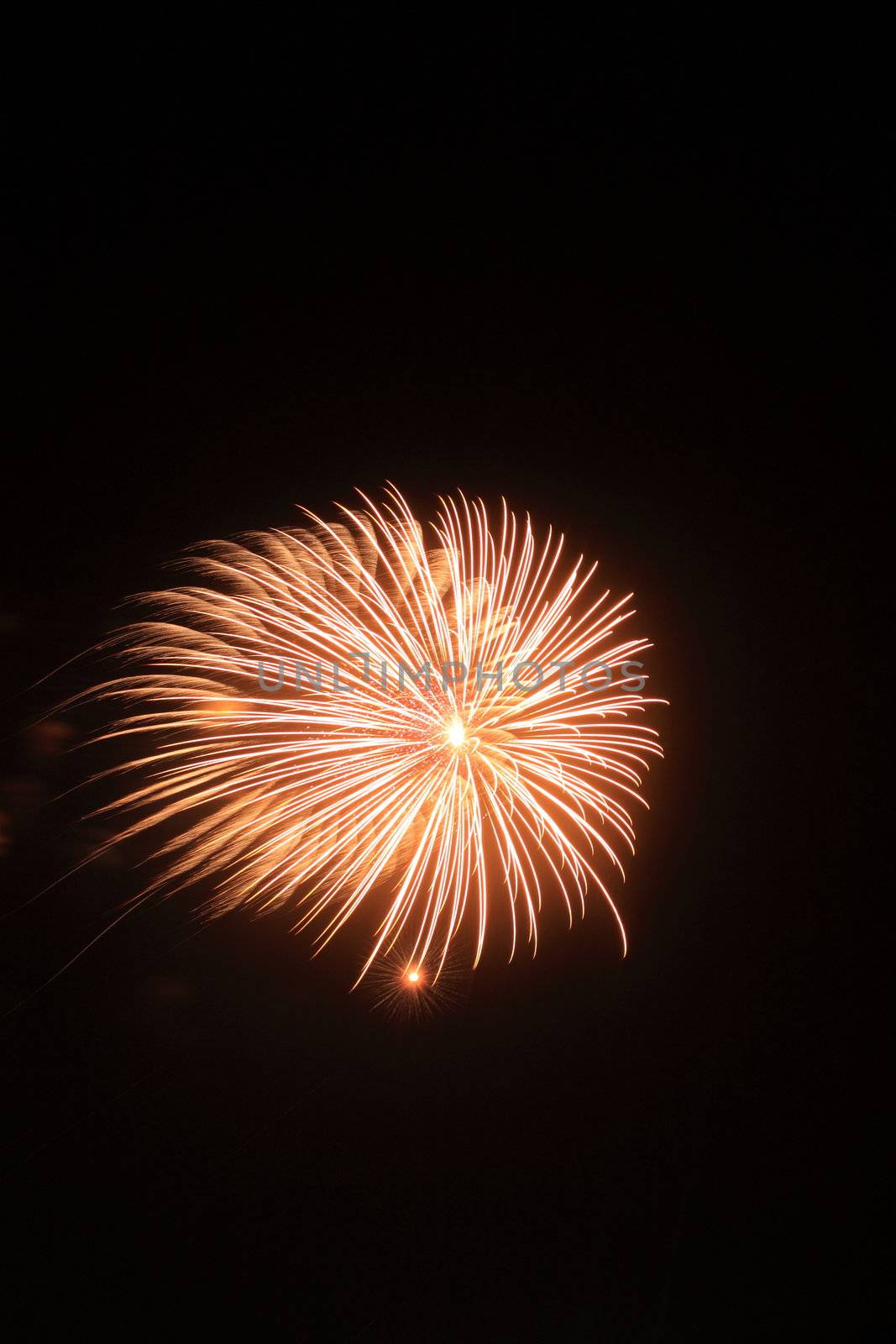 Japanese traditional fireworks in the night sky 