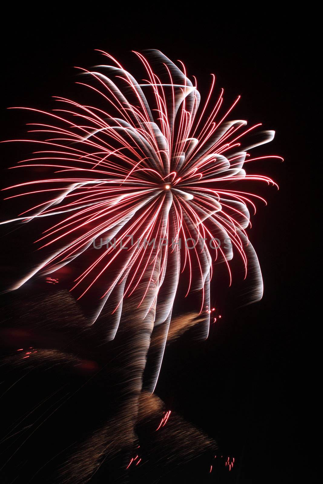 Japanese traditional fireworks in the night sky 