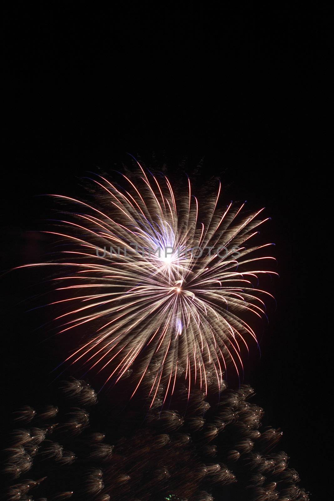 Japanese traditional fireworks in the night sky 