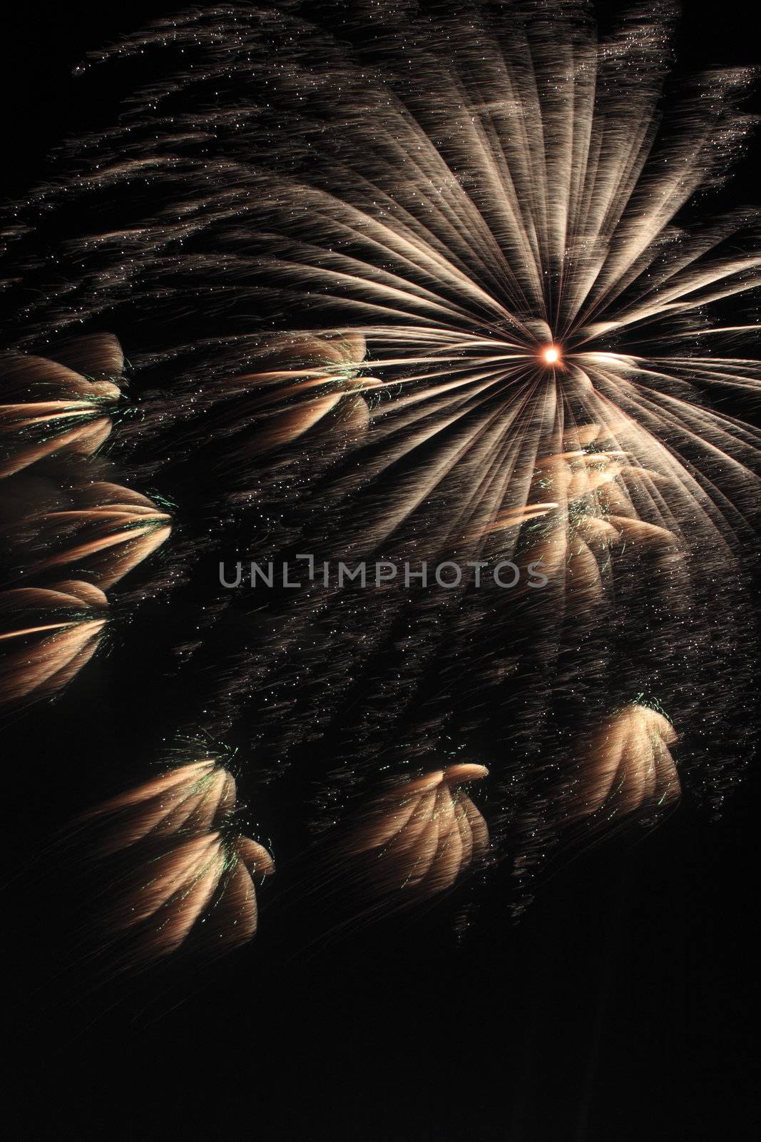 Japanese traditional fireworks in the night sky 