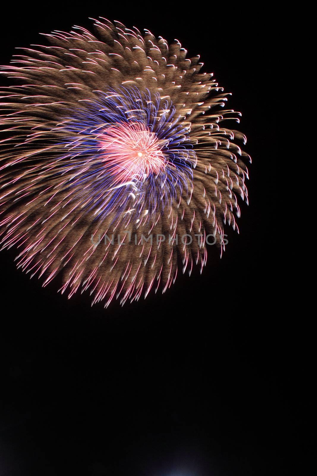 Japanese traditional fireworks in the night sky 