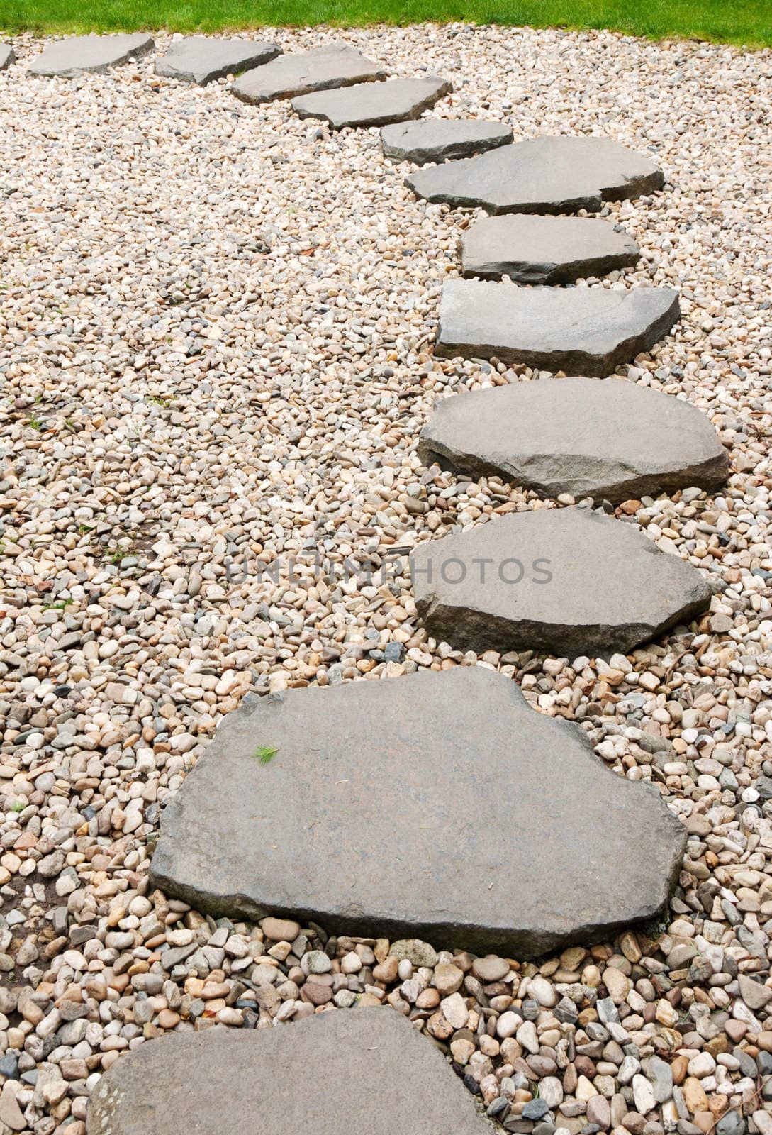 Path from stone with green herb