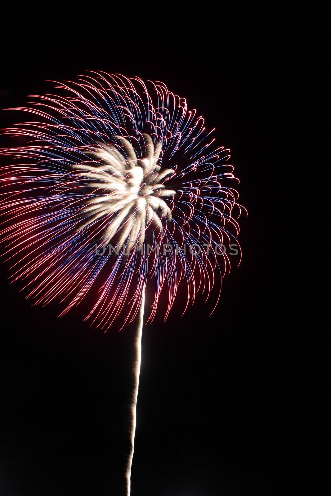 Japanese traditional fireworks in the night sky 