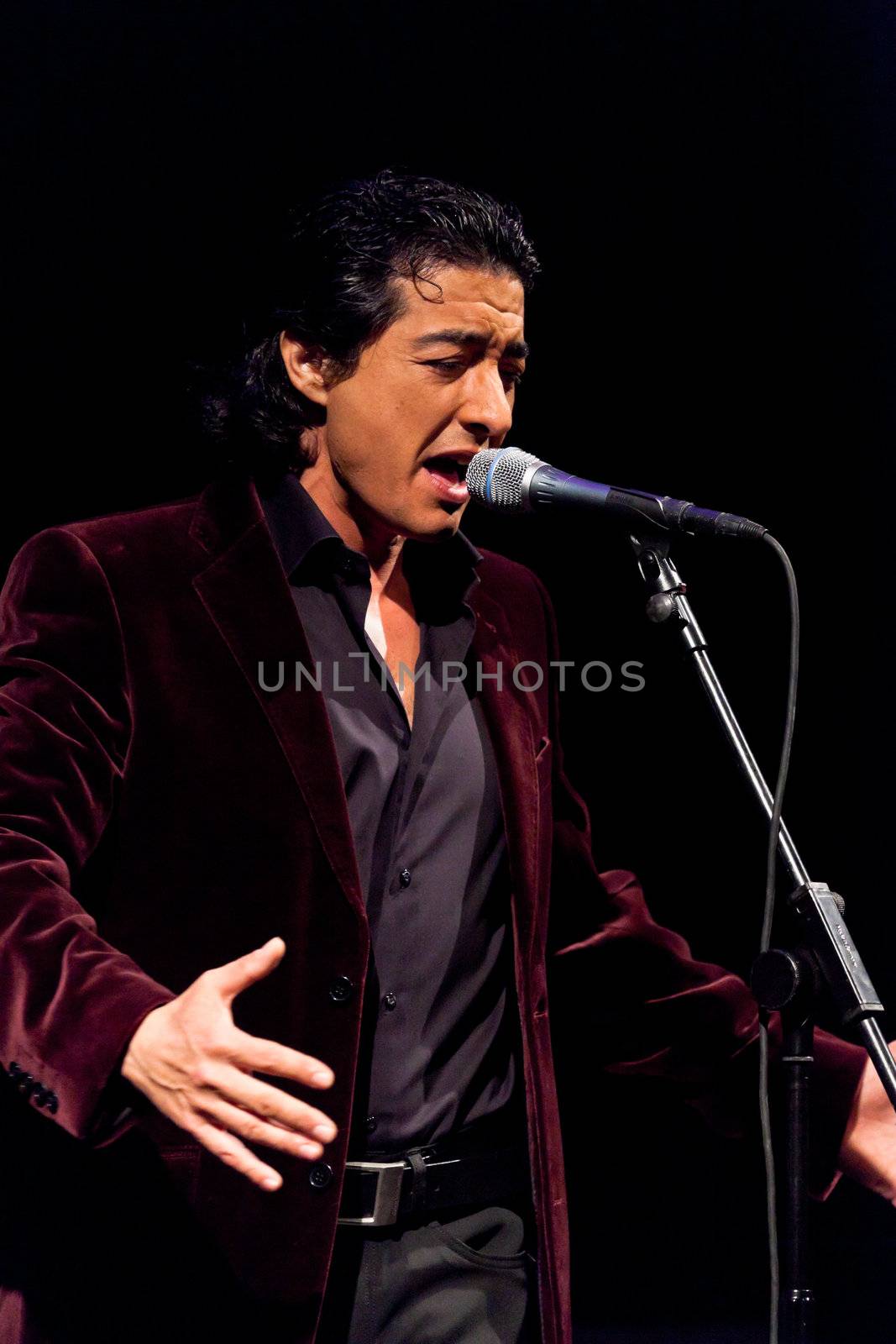 CADIZ, SPAIN - NOV 25: Juan Valderrama performing on the concert  of the IX Festival os spanish music on November 24, 2011, in the Gran Teatro Falla, Cadiz, Spain
