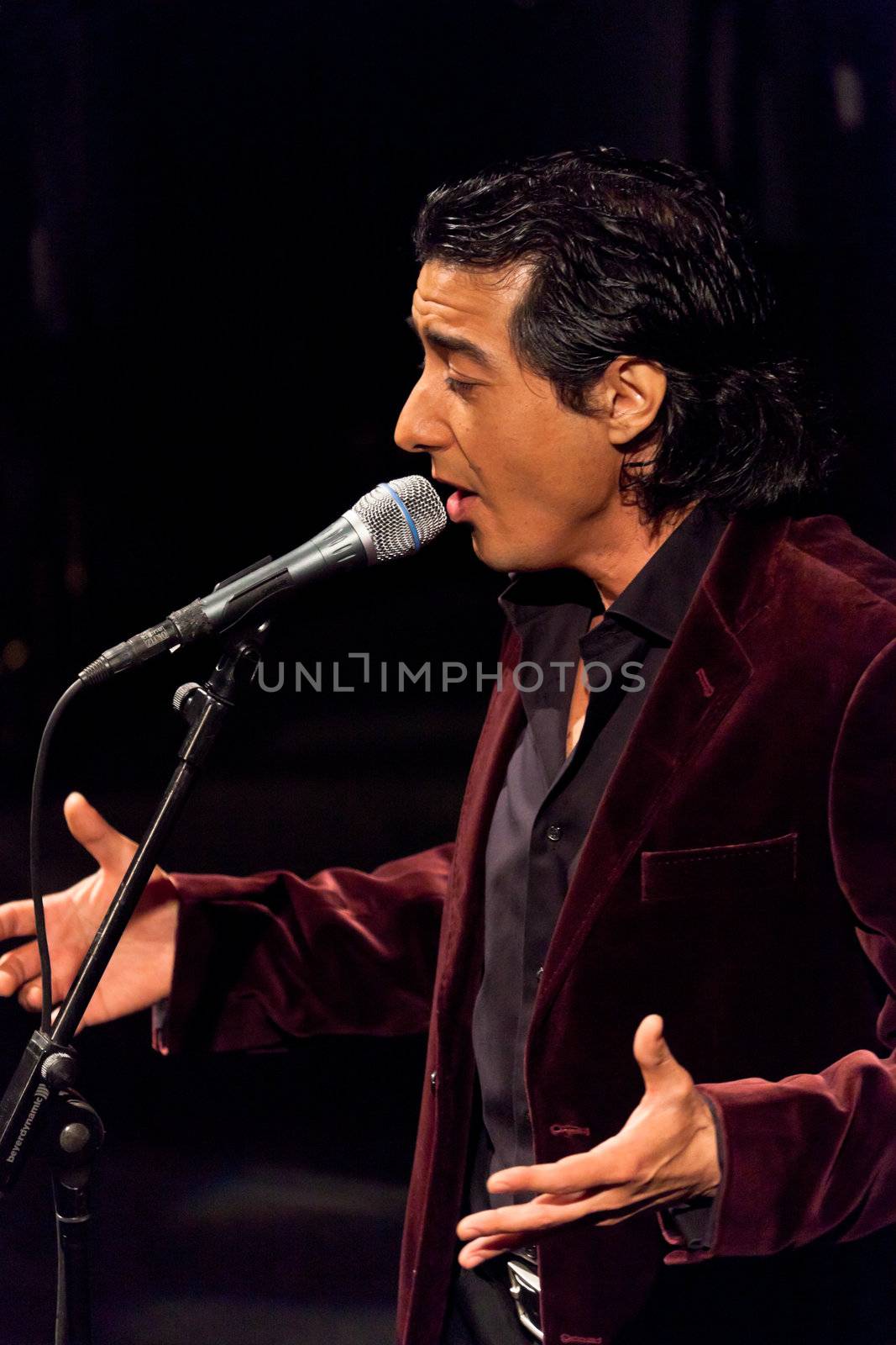 CADIZ, SPAIN - NOV 25: Juan Valderrama performing on the concert  of the IX Festival os spanish music on November 24, 2011, in the Gran Teatro Falla, Cadiz, Spain