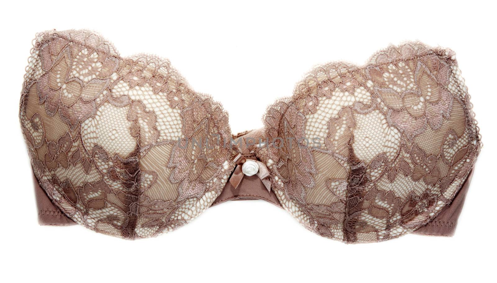 Drown bra without lace on white background