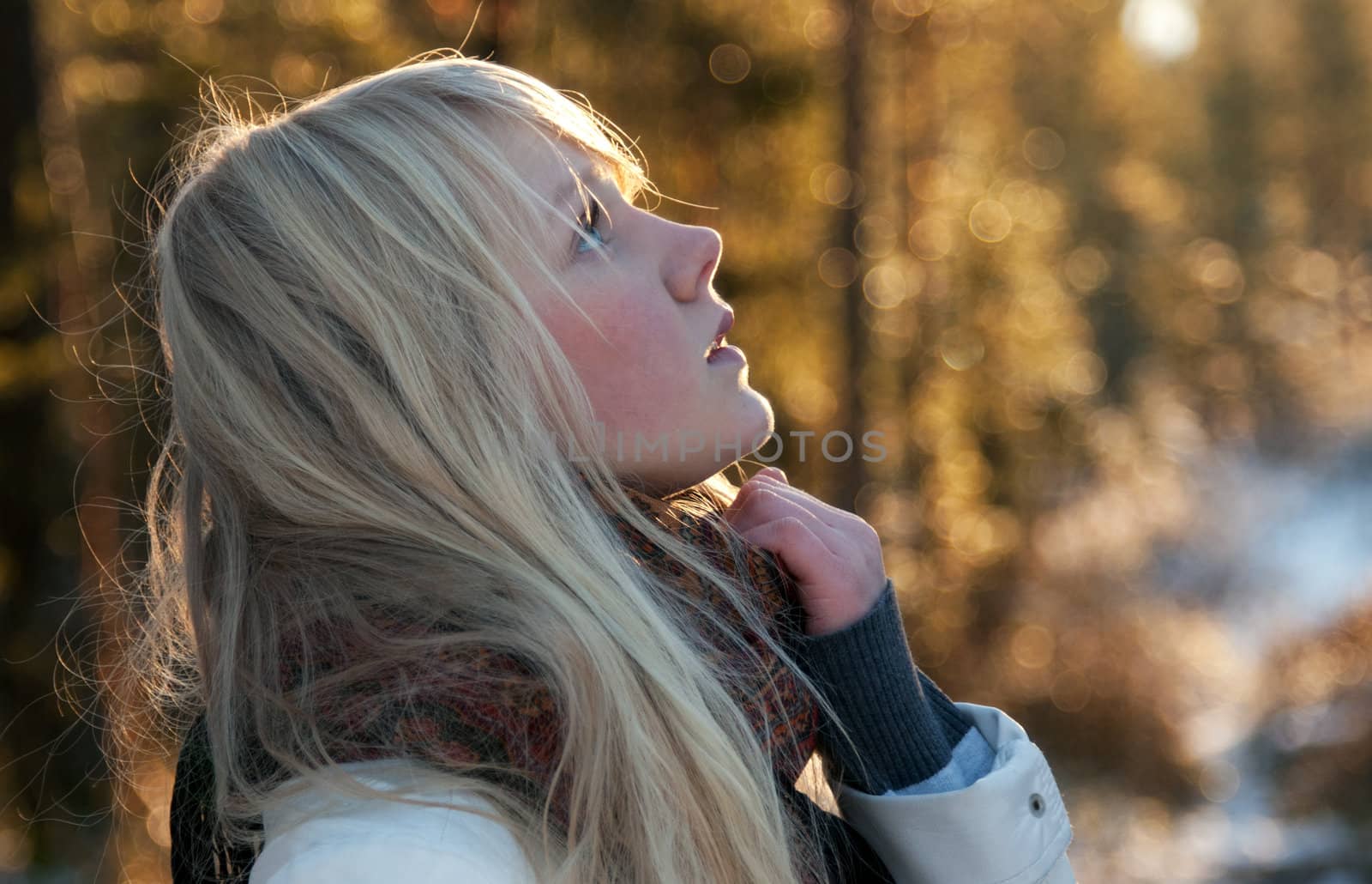 Portrait of the young beautiful girl in wood