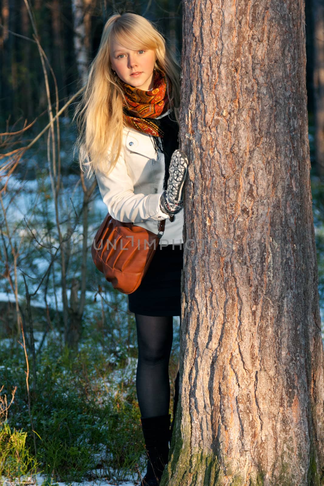 Blonde peers out for stem tree in autumn wood with snow