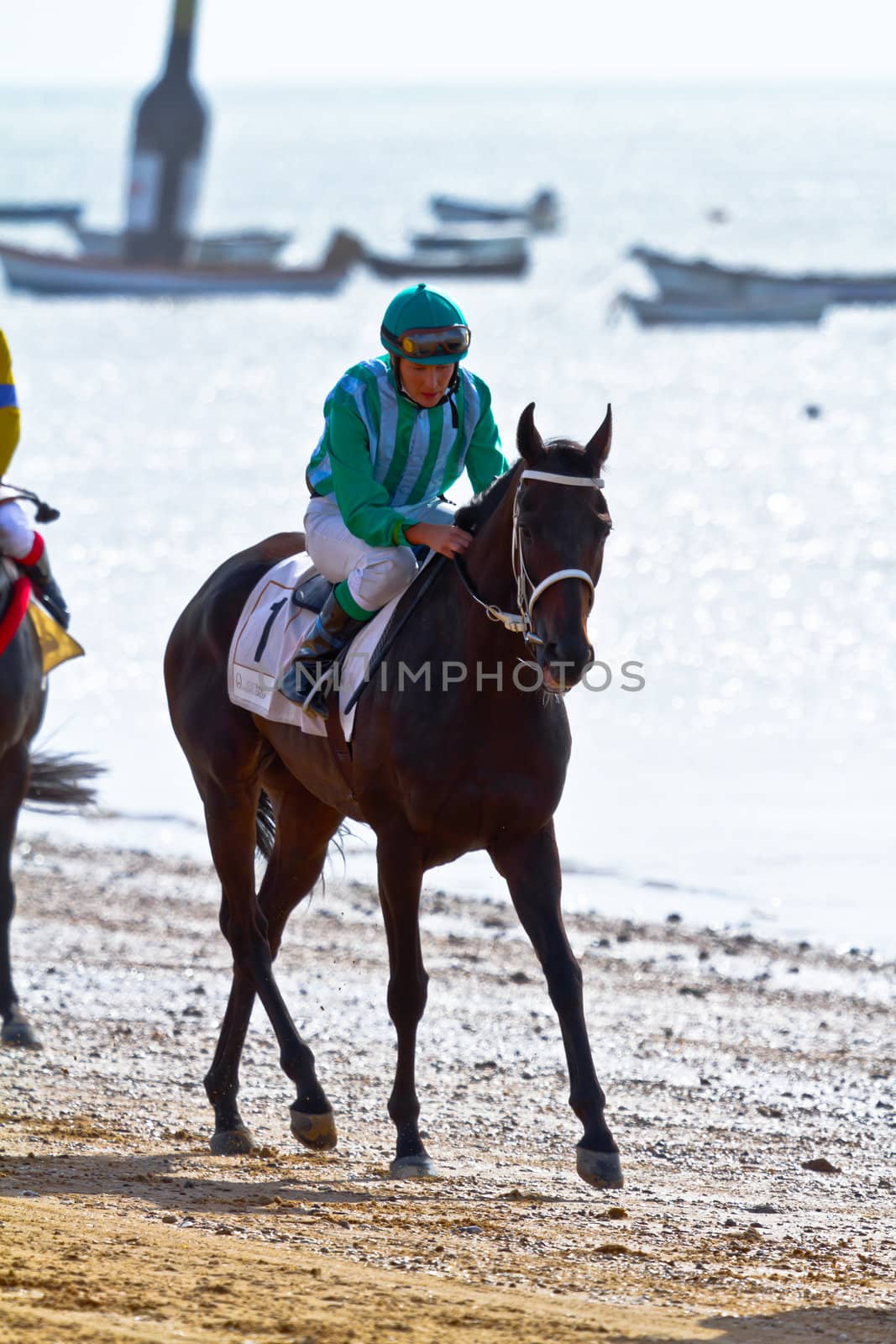 SANLUCAR DE BARRAMEDA, CADIZ, SPAIN - AUGUST 11: Unidentified riders race horses on Sanlucar de Barrameda beach on August 11, 2011 in Sanlucar de Barrameda, Cadiz, Spain.
