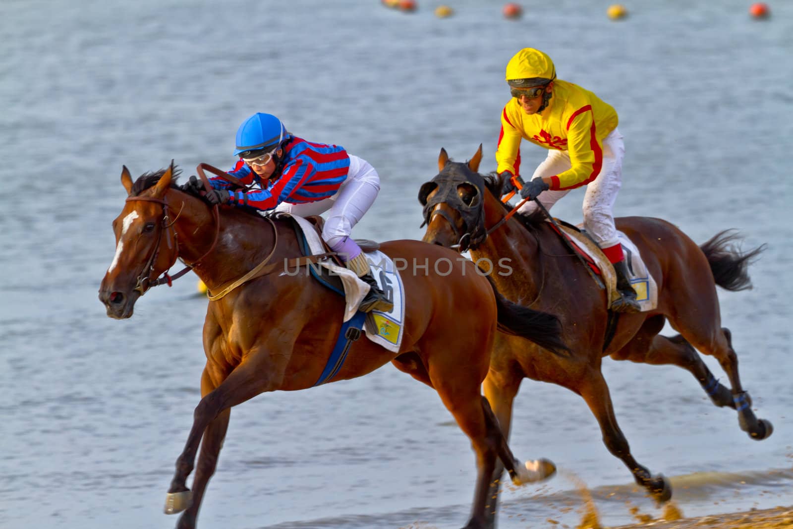 SANLUCAR DE BARRAMEDA, CADIZ, SPAIN - AUGUST 11: Unidentified riders race horses on Sanlucar de Barrameda beach on August 11, 2011 in Sanlucar de Barrameda, Cadiz, Spain.
